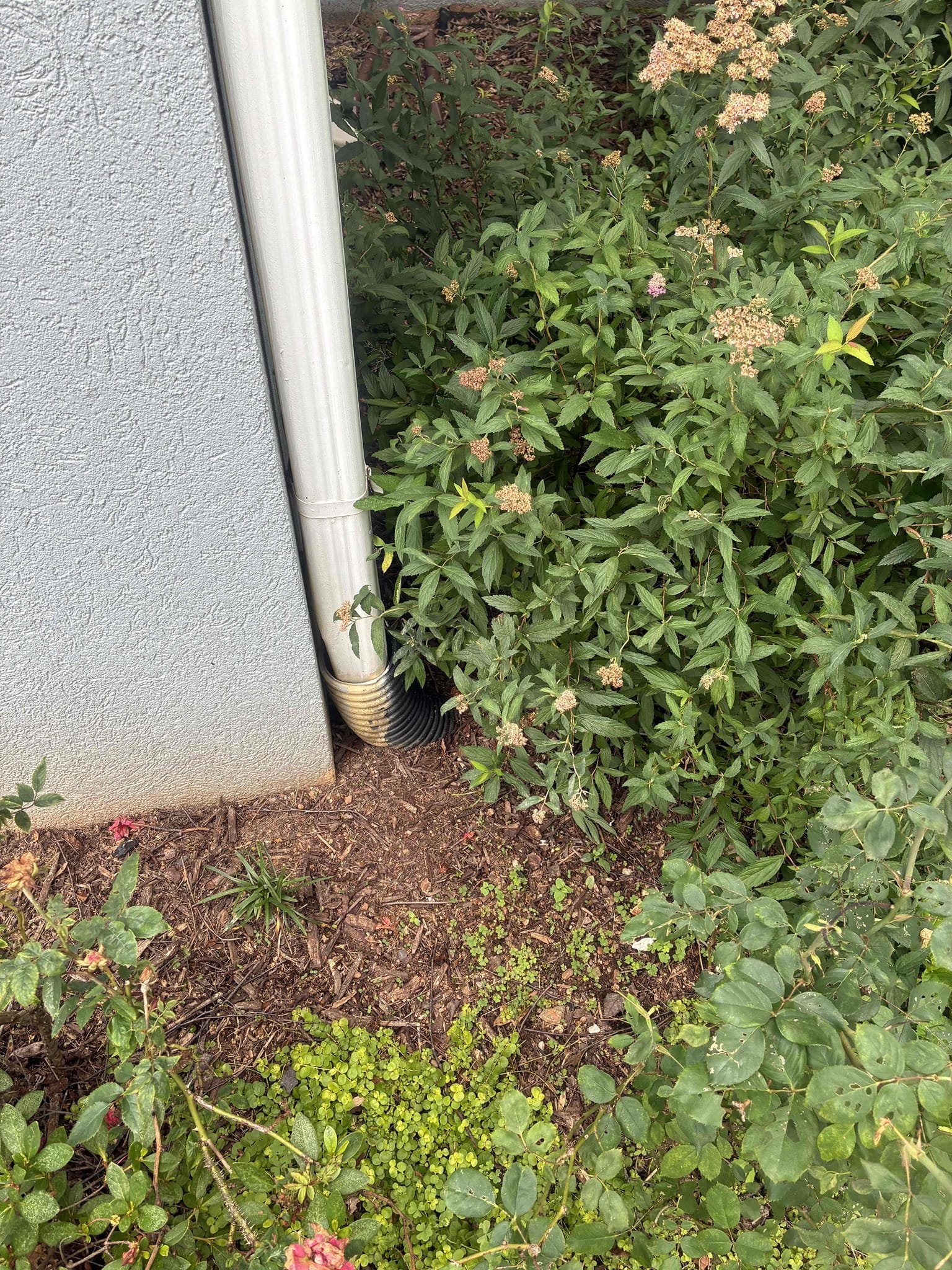 Customer had a few corrugated drain lines outside that need cleaning. Explain to customer about ways of cleaning that specific piping with Hydro jet. Also offered plumbing inspection for Customer’s home. Customer needed to return to a meeting. Will be sending quotes.