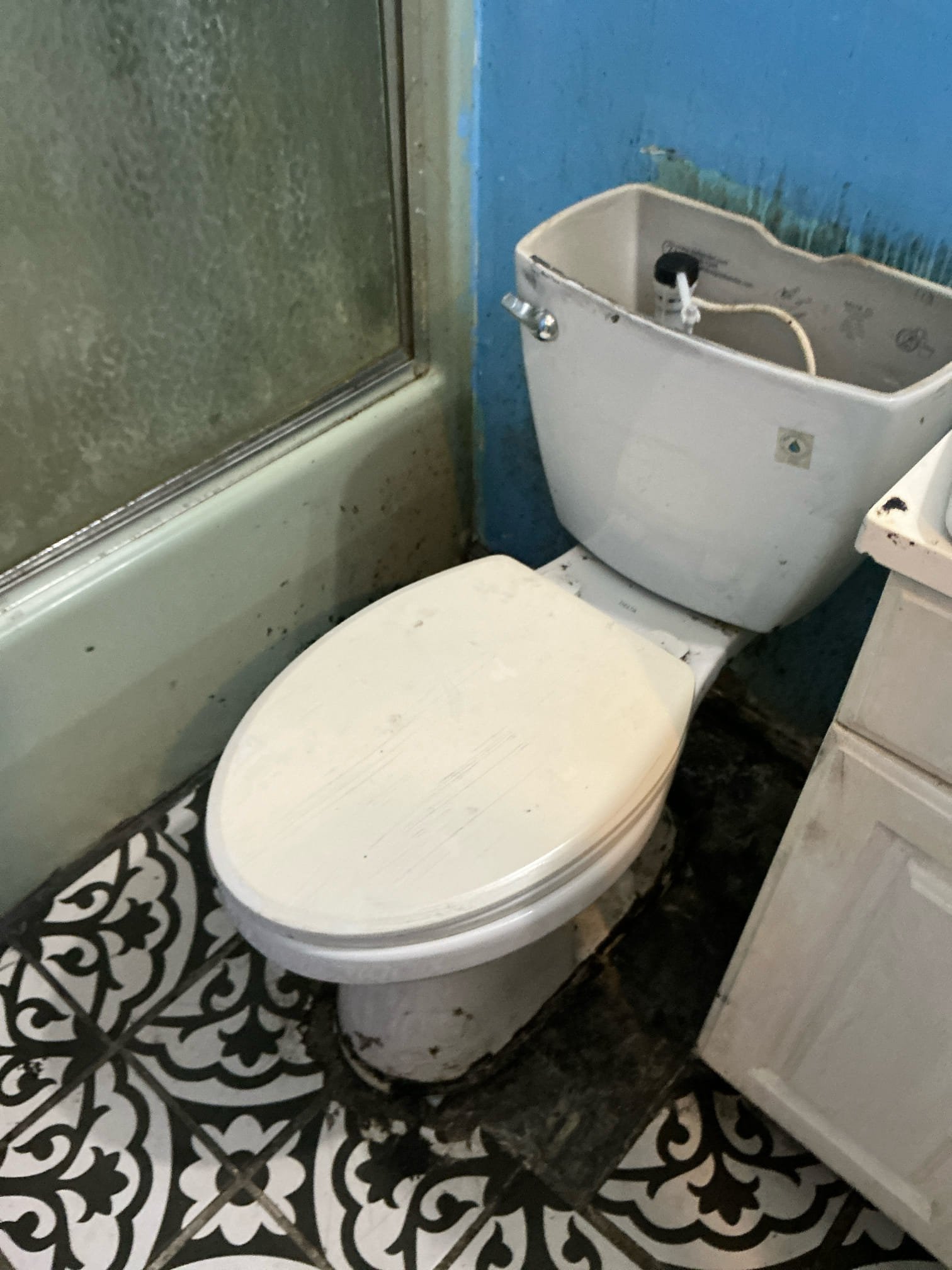 Pull toilet in hall bathroom. Carefully remove toilet. Install new wax ring, new toilet bolts and new toilet supply line. Test toilet for proper operation. Found flange for toilet crack and cause of leak in basement. Replaced flange as courtesy. Issue for continuing backing up in bathroom is drain piping for kitchen and bathroom group are back sloped and hold water and not ran ideally. Ran camera from outside access point and confirmed issue of backfall on drain causing belly. Drain to street look to be in good shape and no obstructions found. Left estimate to repipe drain in home to correct issue and drain.