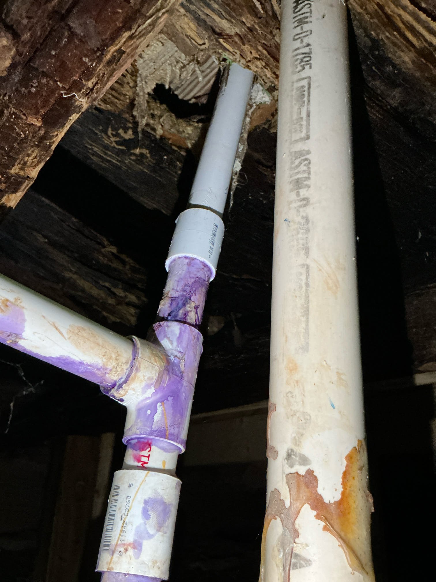 Diagnosed leak for cabin. Found water line completely broken. Left estimate for water line repair and hose Bibb replacement. Also checked tankless and pressure to home. No additional issues found. 