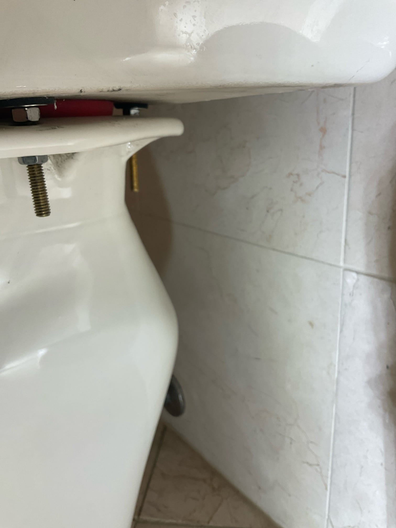 Today we replaced a leaking expansion tank , did a major toilet tank rebuilt with new flush valve, tank to bowl gasket , bolts , fill valve and supply line . Discussed and signed membership with customer 