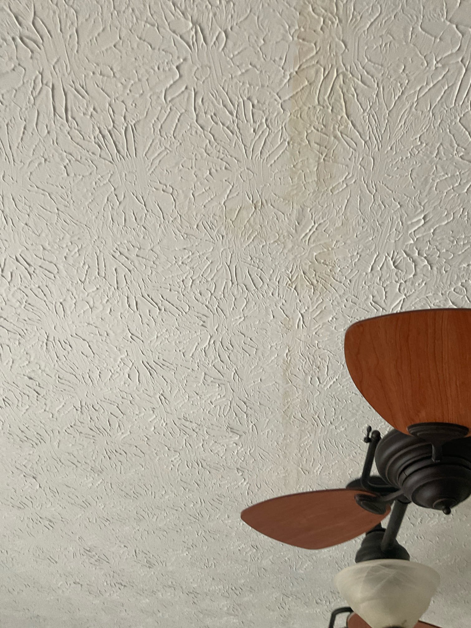 Met with customer, checked issue with stain in the ceiling of living room, but we can not open the ceiling to do a troubleshooting, we only can guess leak is from a garden tub faucet area or below the shower drain based on stain location, left a quote with customer 