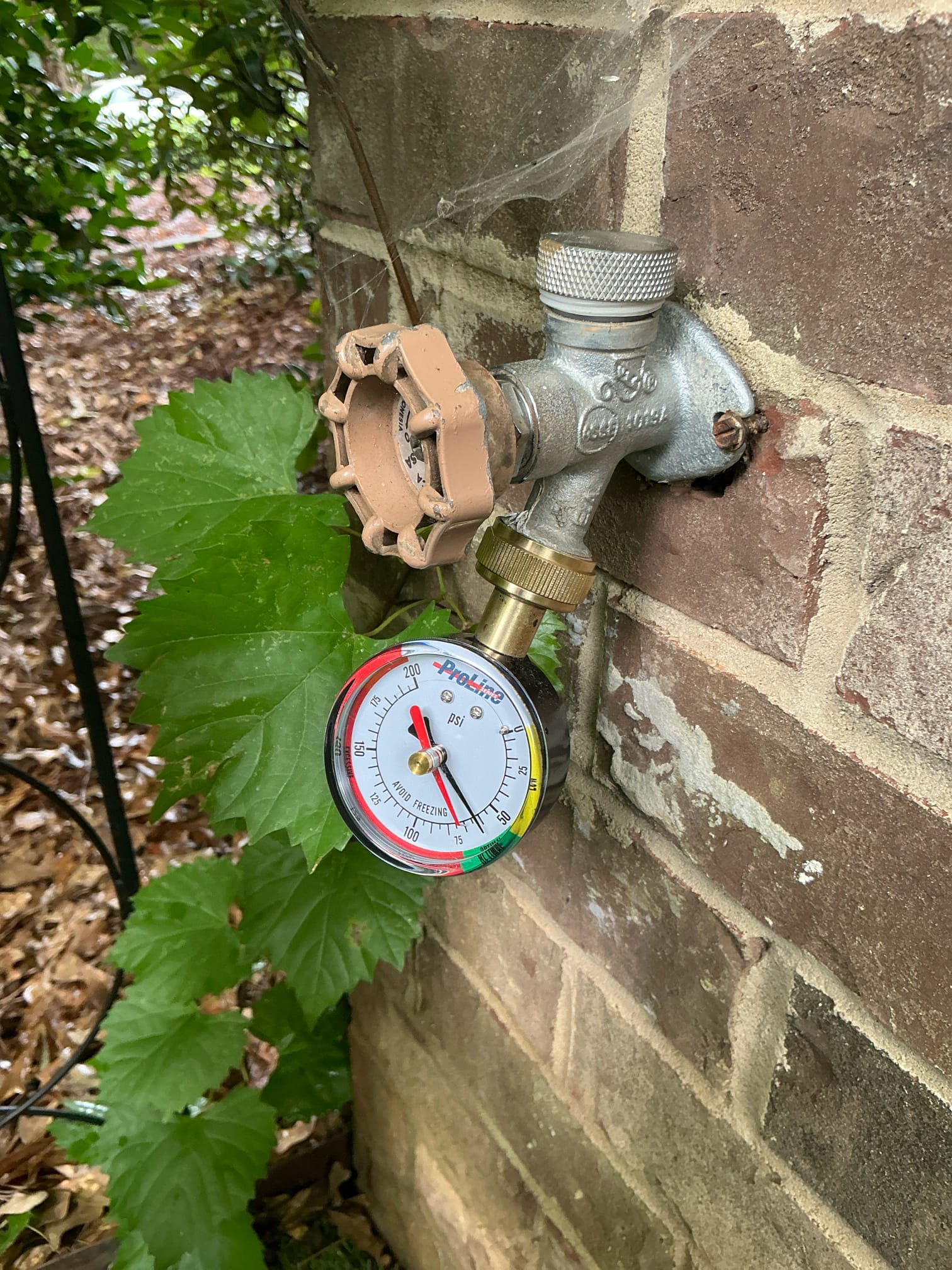 Performed win with Chen annual plumbing inspection! Checked all plumbing components in home, all plumbing is up to date and working properly. Only recommendation was to rebuild all toilets in home, with new fill valve, flapper or seal, and new toilet supply lines. Left estimate for rebuilds
