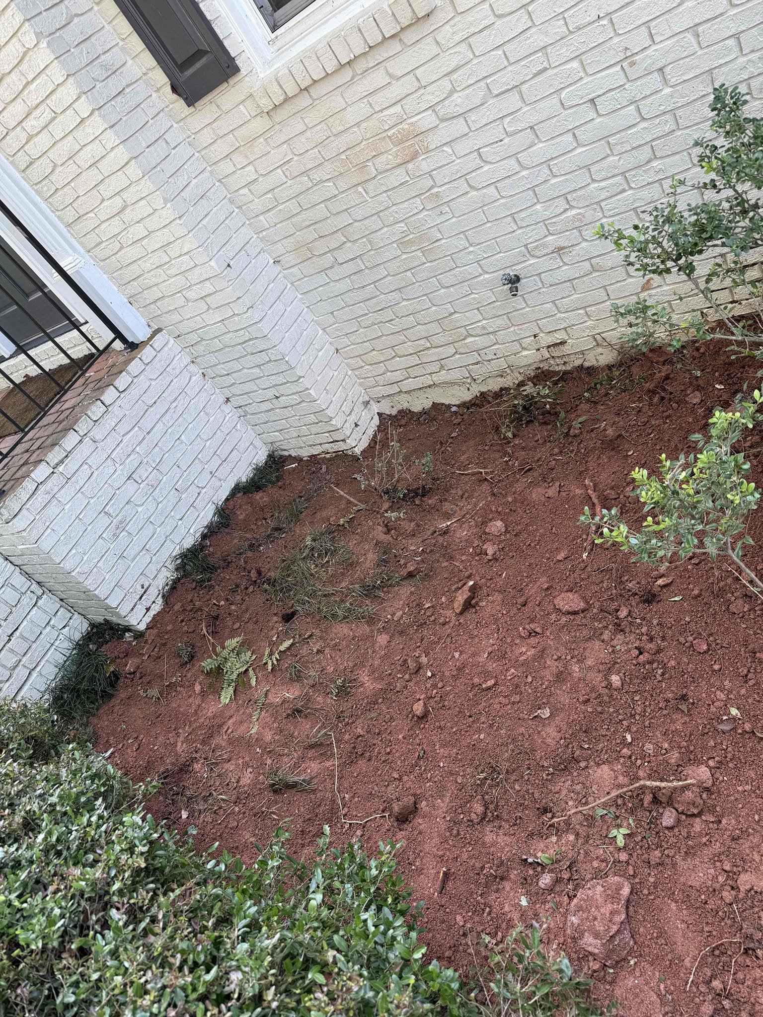 Sewer line backing up into basement upon arrival. Customer stated that the sewer line backed up and was dripping water in the basement. Informed customer we could run a camera to see if what was causing the backup. Gave customer estimate, customer approved estimate. Ran camera and found roots at 14 ft just outside of the house, customer had one section of cast iron left in the yard and it was from just outside the house to the cleanout. Informed customer the Fernco had separated off the pvc allowing roots to grow in. Informed customer the best fix would be to dig up the sewer line and replace the last bit of cast iron. Gave customer estimate, customer approved estimate. Dug up front yard by the house and replaced last section of cast iron with pvc. Made sure pvc was properly bedded in and had proper pitch. Flushed all the toilets and ran fixtures to make sure the water was making it past the cleanout. Water is flowing past the cleanout. Sewer line is no longer backing up and is working