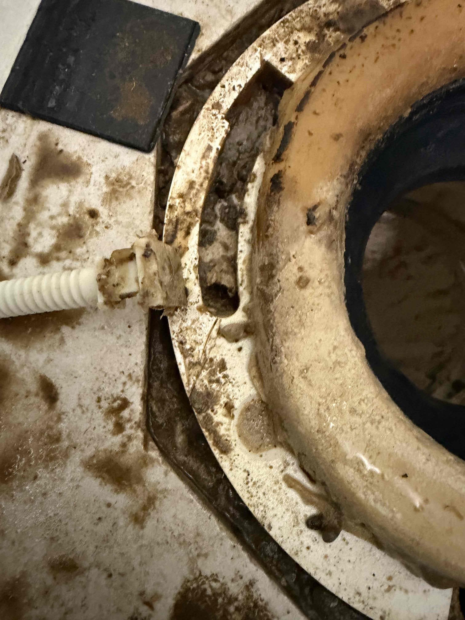 Was called out for leaking toilet. Checked around the base of the toilet and was leaking from the back right corner. Pulled toilet and found toilet flange was broken. Replaced toilet flange and reset toilet. Checked work and cleaned up work area 