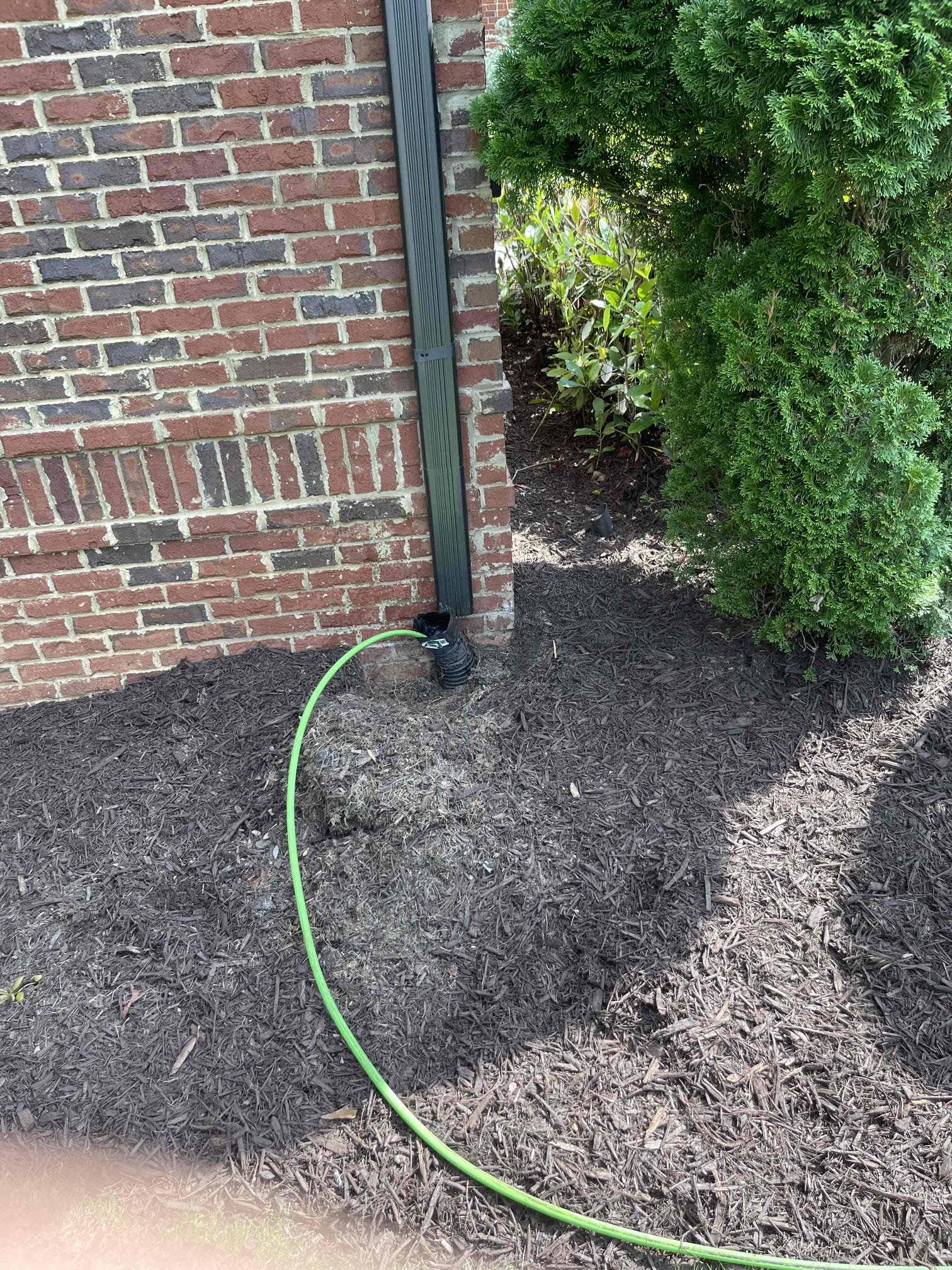 Customer had a catch basin in the front yard and multiple downspouts that were not draining correctly during heavy rainfall. We disconnected the pipes from the downspouts and jetted the, out. Jetted out the catch basin. Verified adequate flow discharging from the end of the pipe in the back yard. No further issue at this time. 