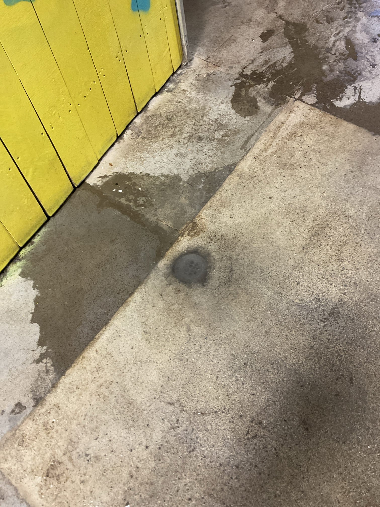 Main drain backing up in the back for dog wash and floor drain area , snaked the line with chain snake , cleared blockage but water comes up now in the driveway gravel area , customer told us it was something done by previous plumber incorrectly, will call us back again after customer get gravel remove and expose the pipe 