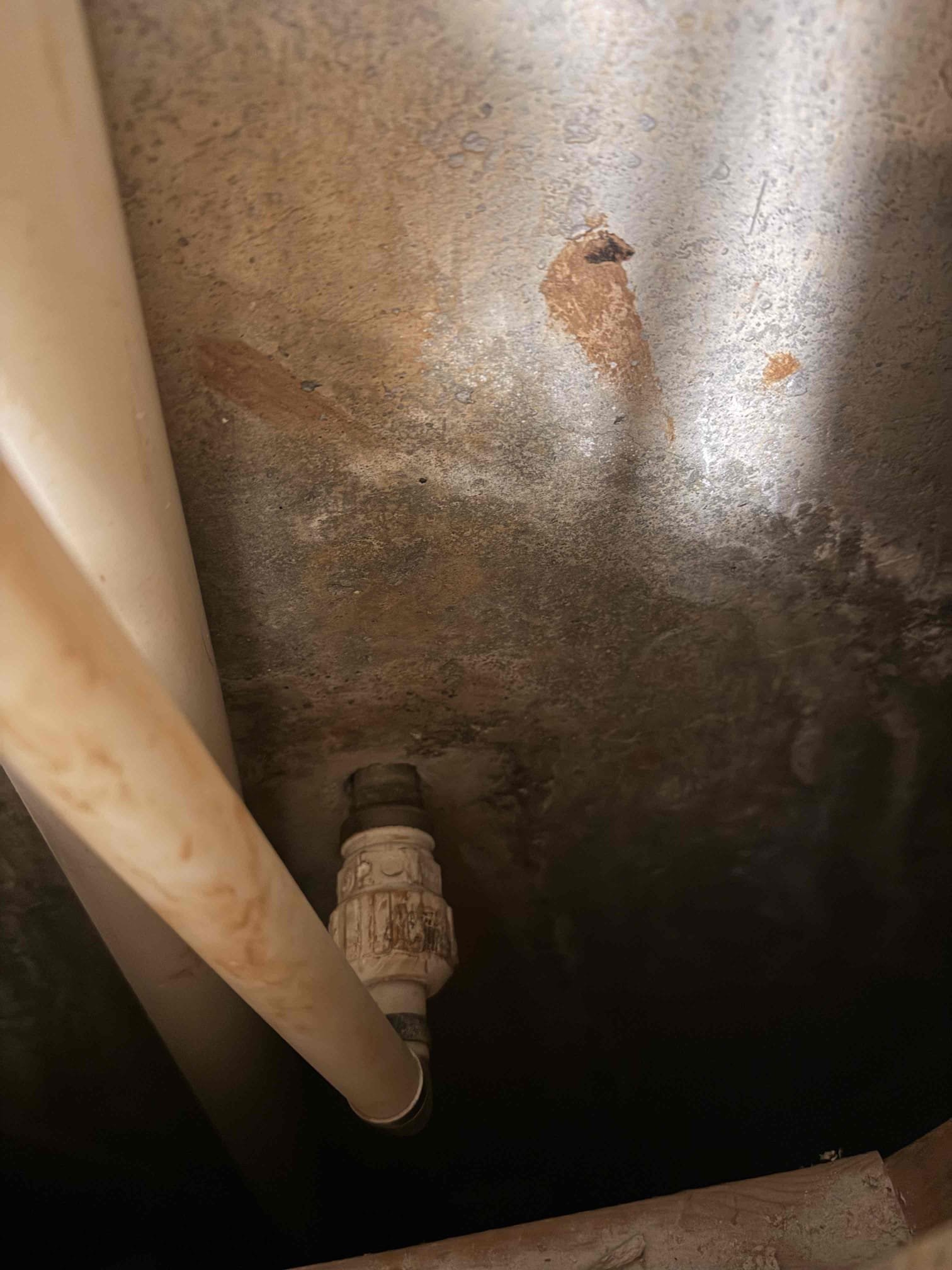 Water leak upon arrival. Customer stated his water service broke and is under a tree. After looking at the meter and the direction it was facing informed customer in order to do any work on the water service, the tree that’s sitting on the meter box would need to be removed first. Left customer with estimate to replace the entire water service once the tree is removed. Customer stated he has to talk to his hoa about removing the tree before anything can be done.