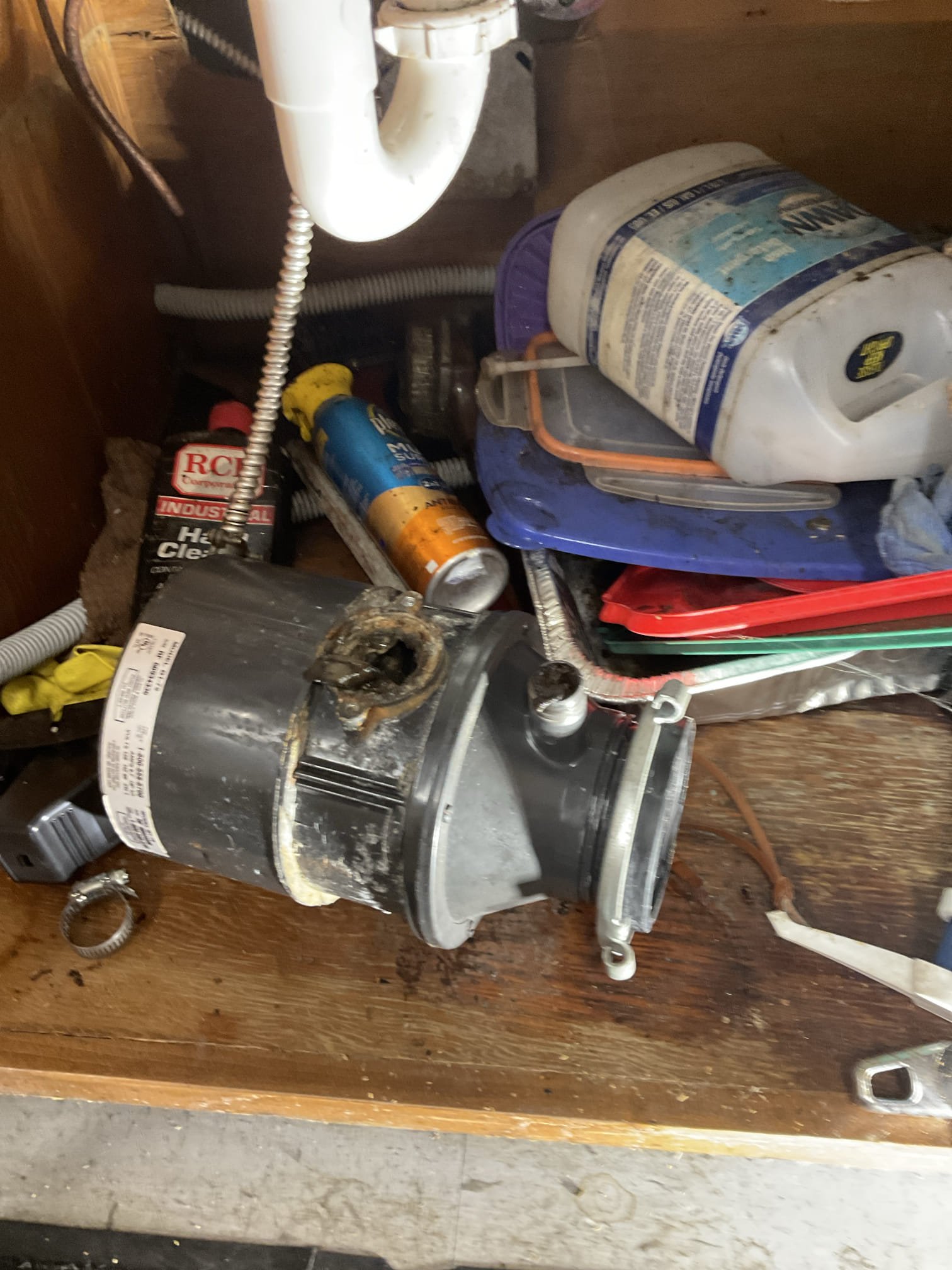 Checked wet carpet area , found leak was from an old disposal in break room , replaced with new 1/2 hp insinkerator disposal today to stopped leak . 