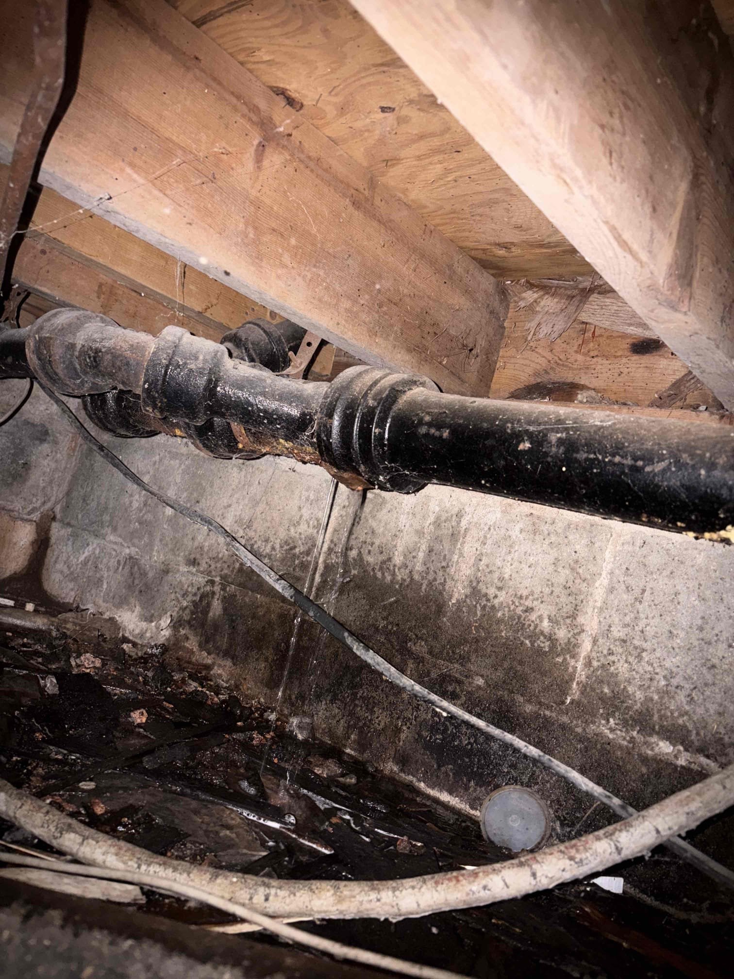Customer has back up in two main bathrooms, inspected crawl space. Cast iron drain is rusted and leaking. Noticed multiple leaking spots on drain line. Also checked clean out, drain is holding no water at clean out. Informed customer we will need to pull toilet and run drain machine through flange. Customer denied any work at this time.