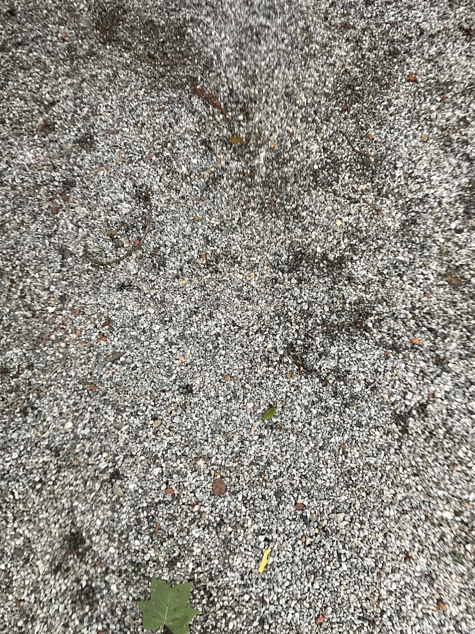 Quoted water line repair today ,customer said irrigation company did new water line last December, and will call them back fix it as warranty call . 