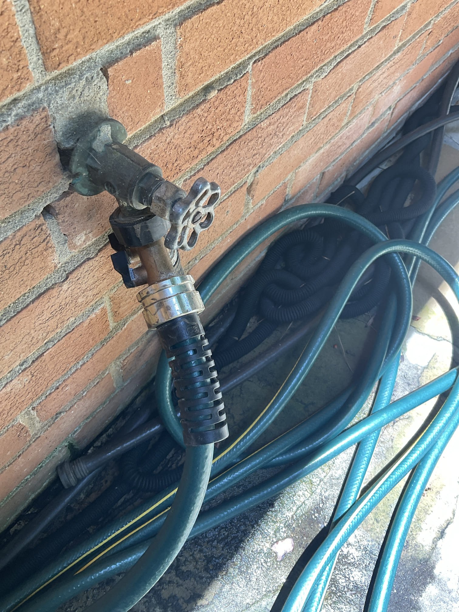 I did member yearly inspection today , found few things , two quote to the customer for new toilets , faucet, hose bibs , and kitchen code violations fix 