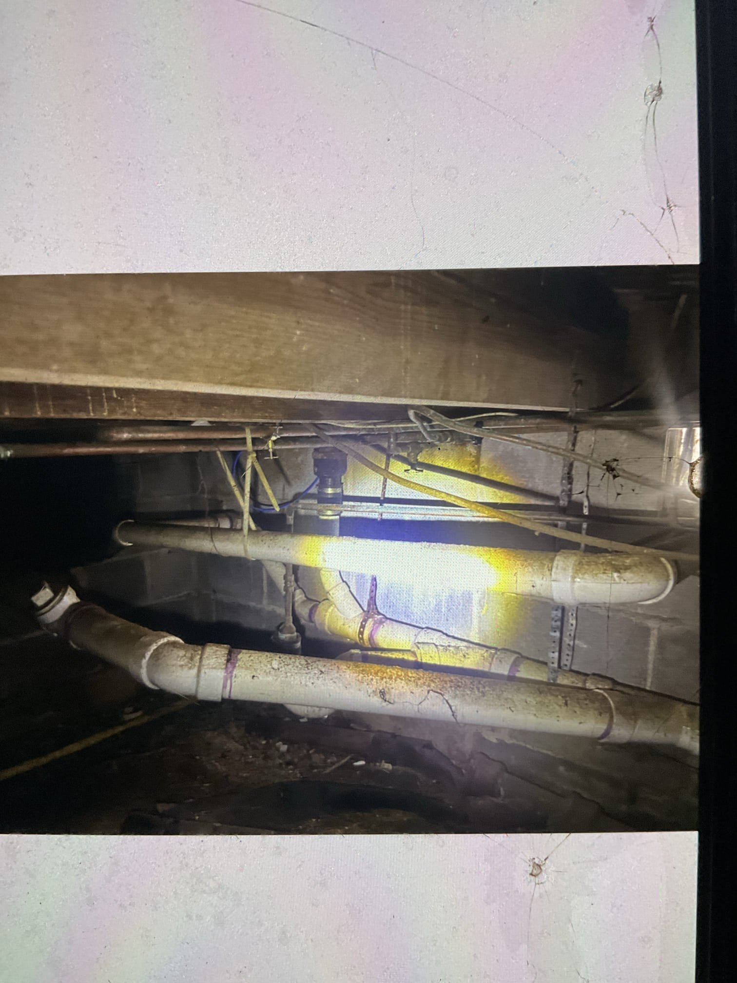 I did member yearly inspection today , found few things , two quote to the customer for new toilets , faucet, hose bibs , and kitchen code violations fix 