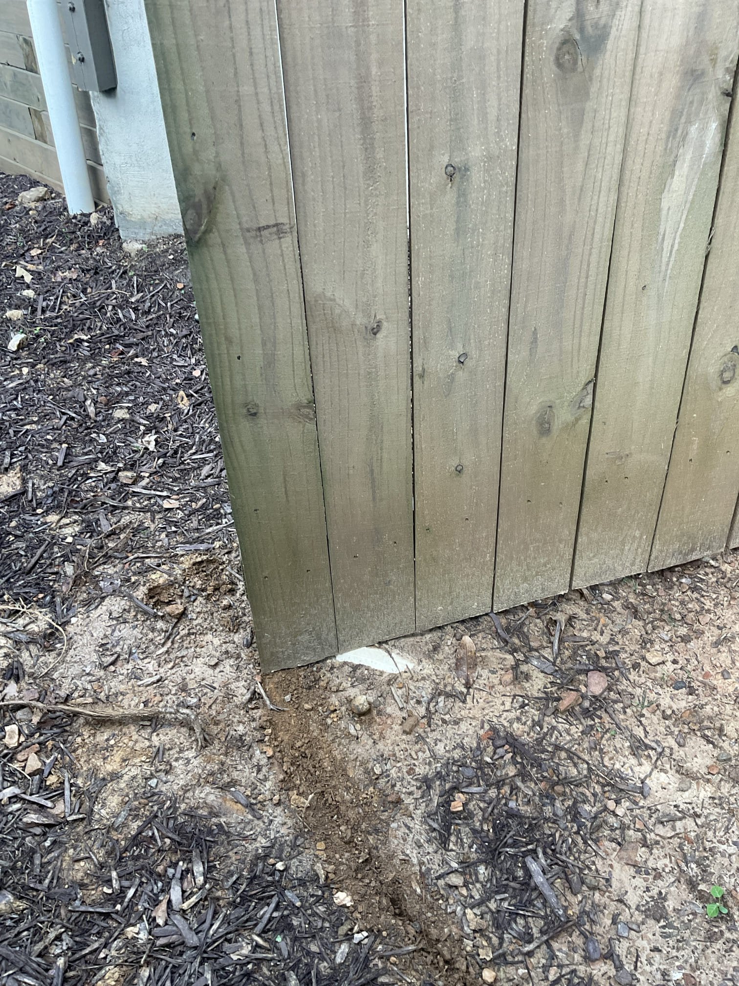Cut some wood panel for the gate with customer permission and so one side gate can fully open , problem was not be able to open all the way after landscaping pvc pipe installed 