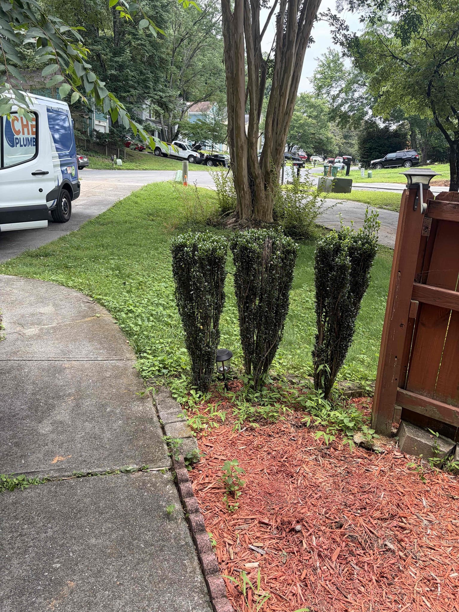 Upon arrival, customer stated they’re experiencing a back up coming from first floor bathroom. After inspection, found main sewer line to be backed up. Provided customer with estimate to pull toilet and run drain machine. Customer approved estimate. Pulled toilet, ran drain machine. Cleared blockage. Ran camera through toilet flange, found pipe separation and a cleanout cap Stuck in sewer line. Informed customer about findings, informed customer we will need to dig up front yard to perform a spot repair on sewer line. Also provide provided customer estimate to replace whole sewer line from house to city sewer. Sewer line will back up again.