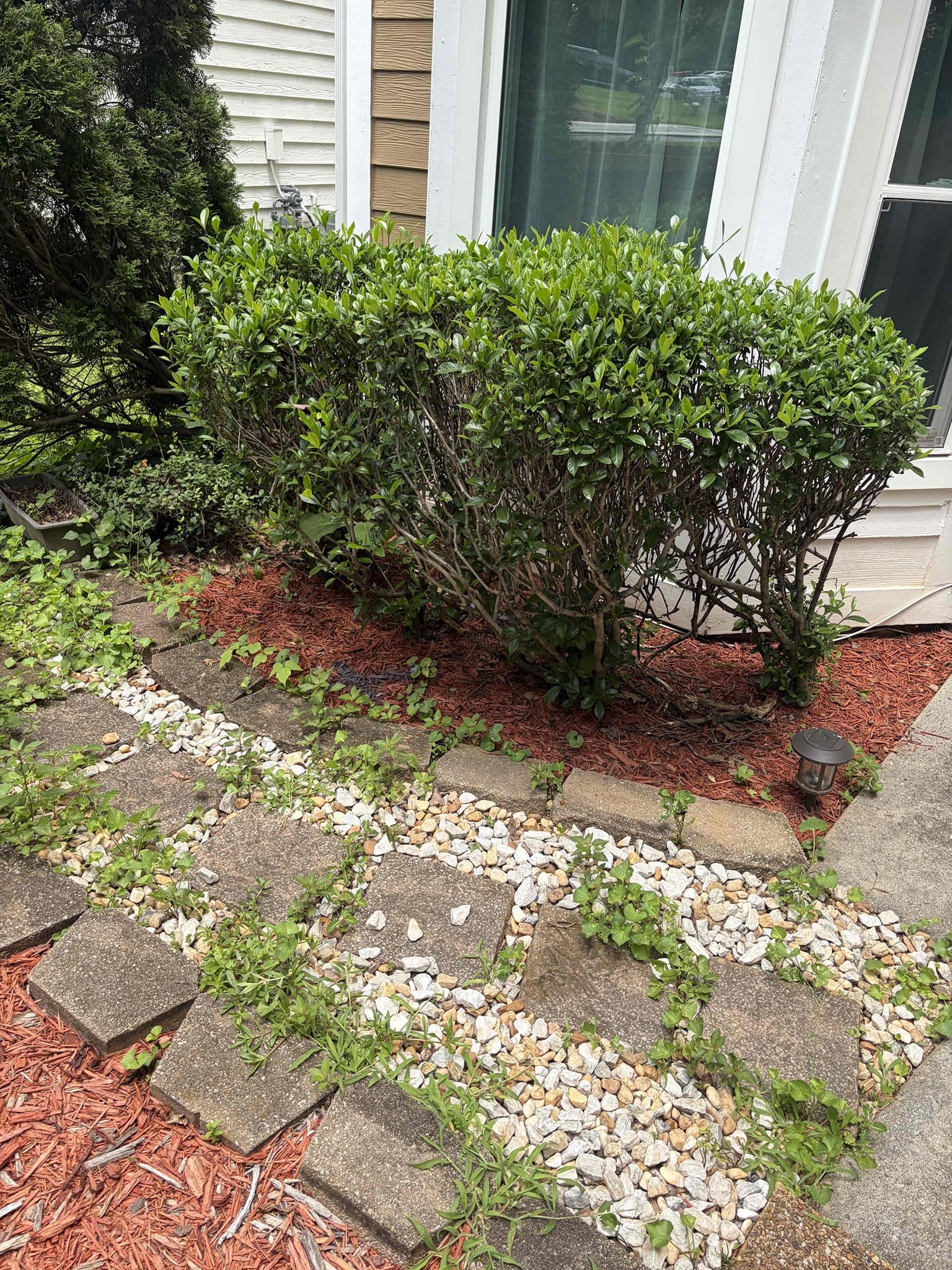 Upon arrival, customer stated they’re experiencing a back up coming from first floor bathroom. After inspection, found main sewer line to be backed up. Provided customer with estimate to pull toilet and run drain machine. Customer approved estimate. Pulled toilet, ran drain machine. Cleared blockage. Ran camera through toilet flange, found pipe separation and a cleanout cap Stuck in sewer line. Informed customer about findings, informed customer we will need to dig up front yard to perform a spot repair on sewer line. Also provide provided customer estimate to replace whole sewer line from house to city sewer. Sewer line will back up again.