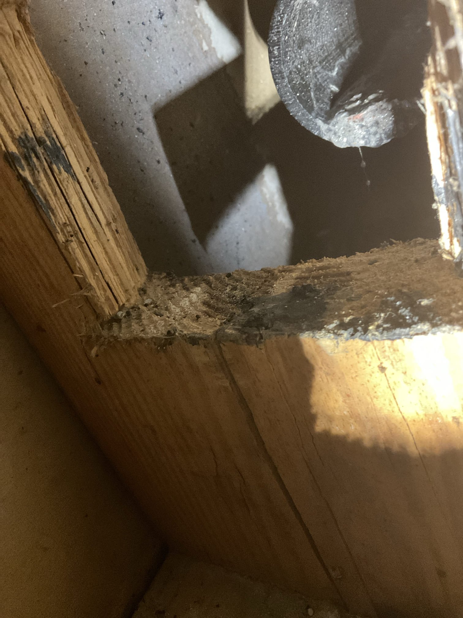 Quoted washer box replacement and 40 gas heater , scheduled sat second call 
