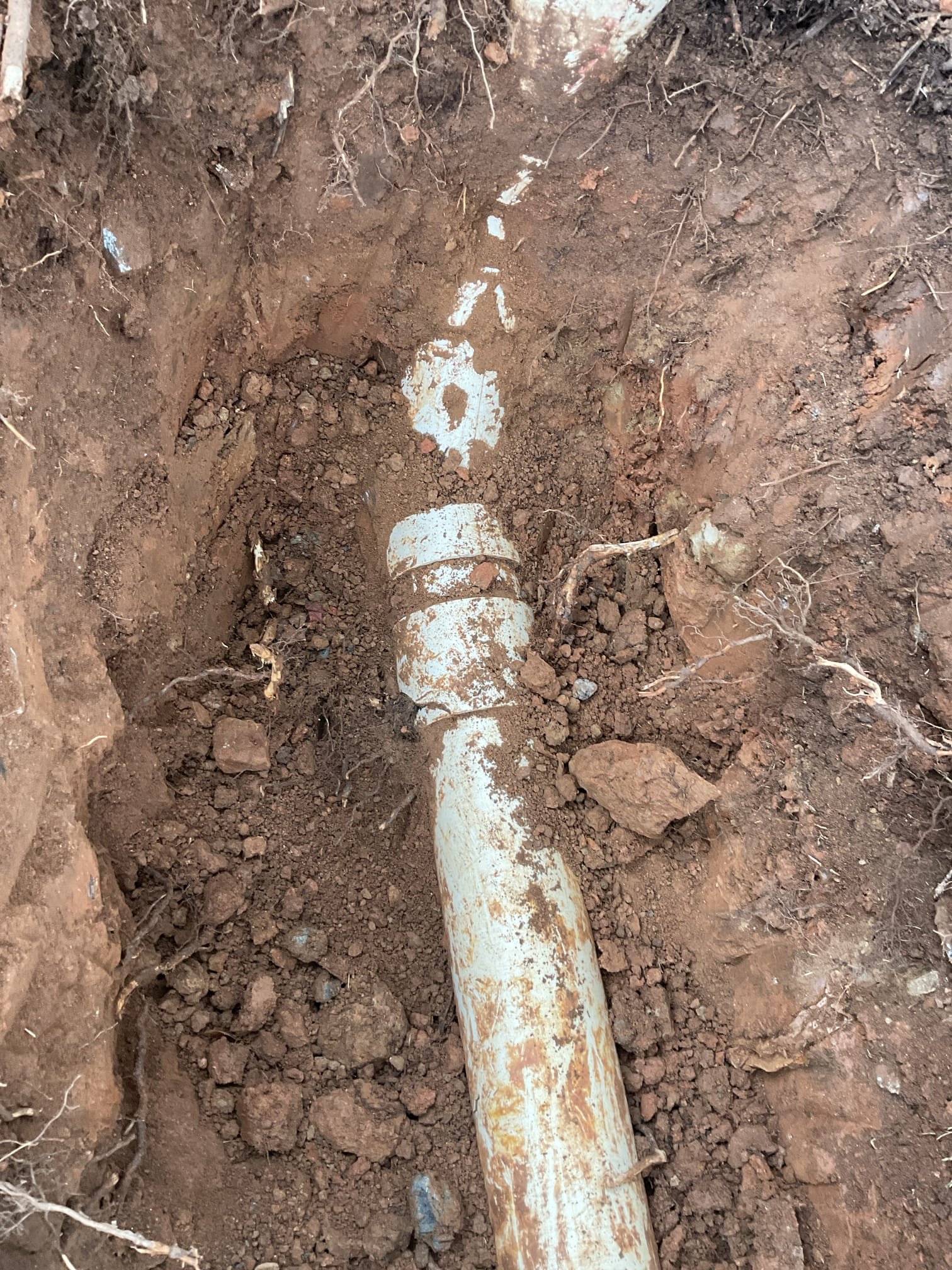 Fixed main sewer line back up problem, snake , camera from clean out , found roots penetration problem , replaced a section pvc , five years warranty 