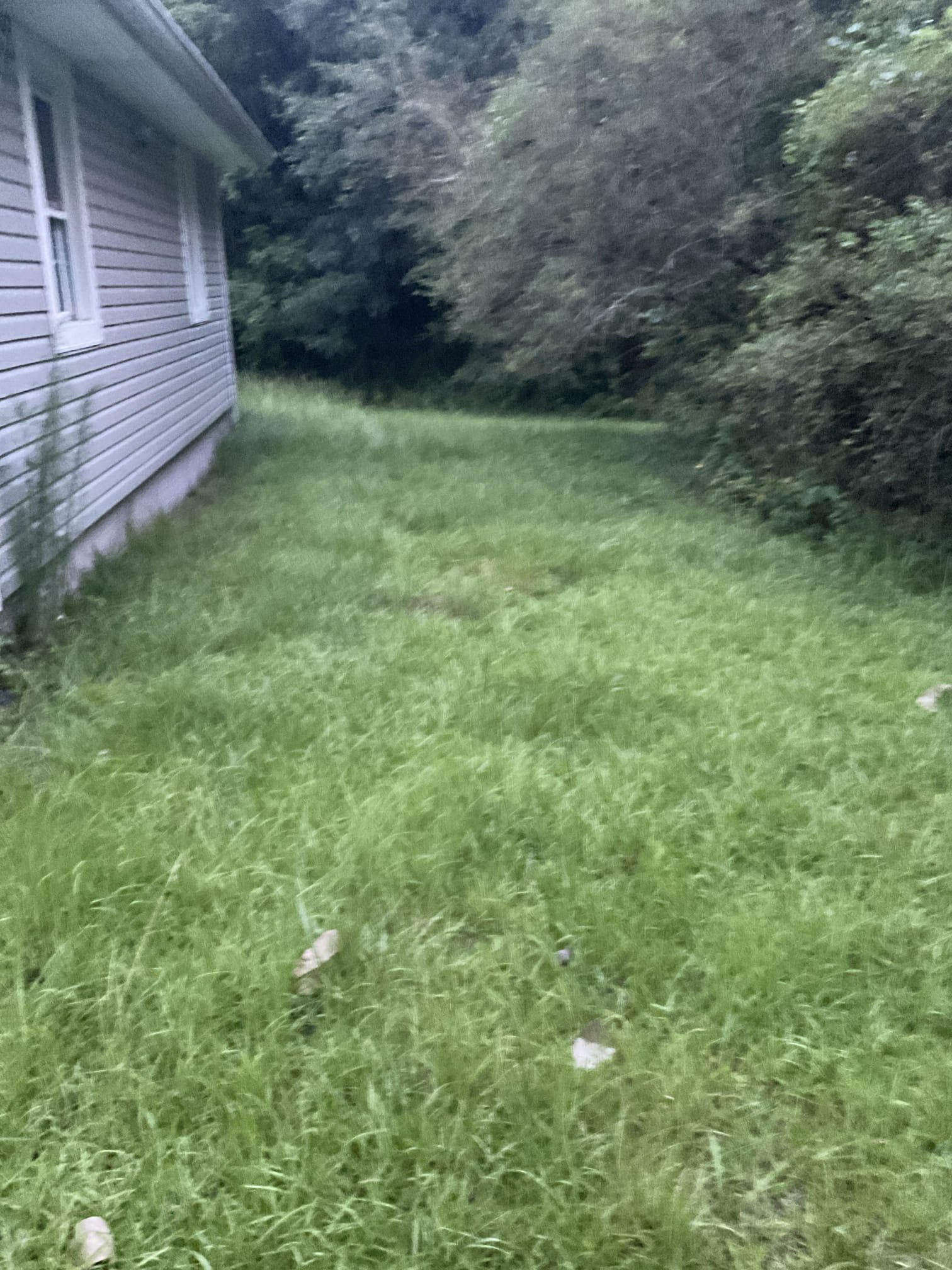 Quoted a water line replacement job today 