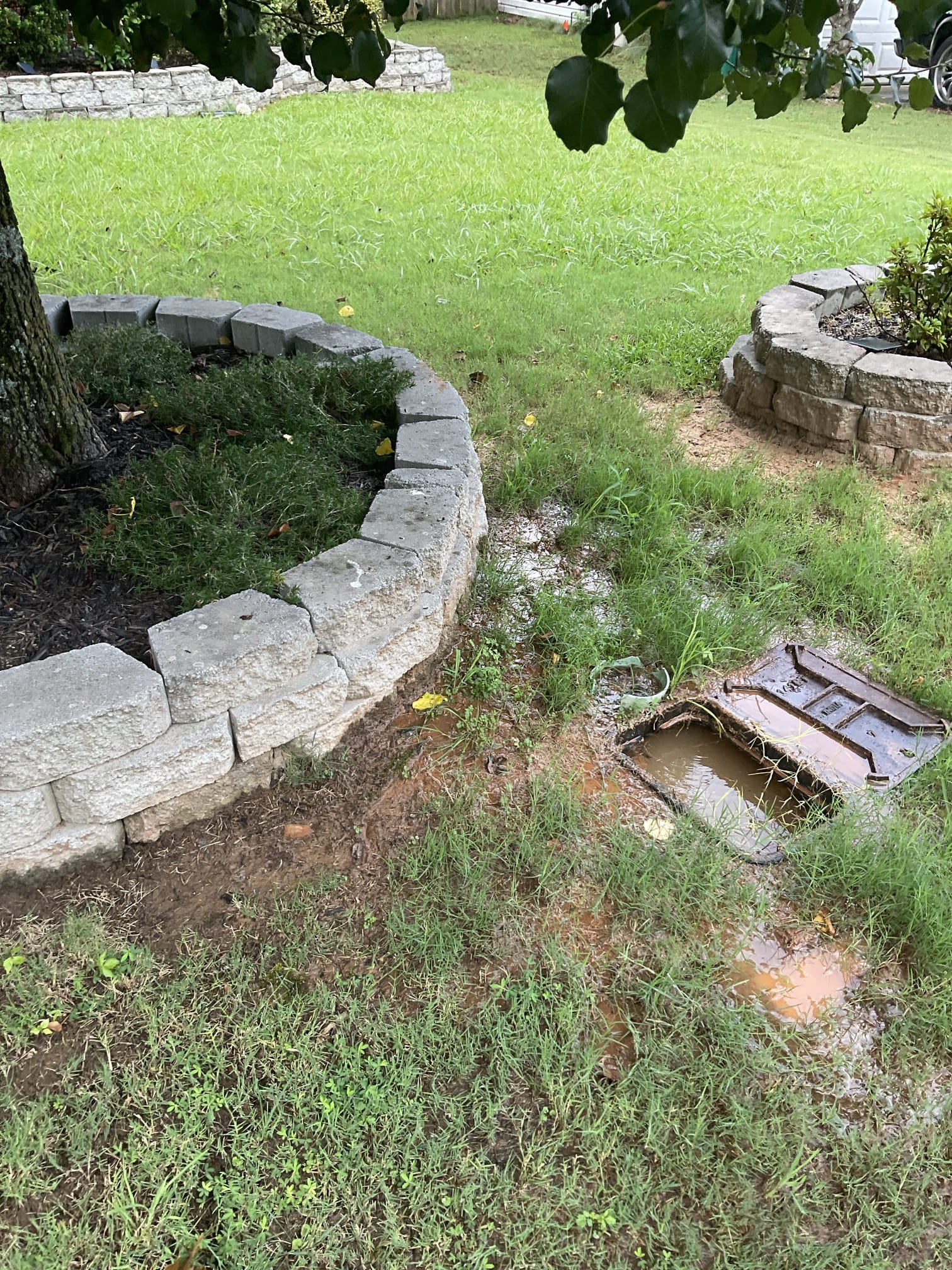 We fixed a cracked 3/4 “ black poly water line leak after water meter near the sidewalk today , dug up and replaced a section of pipe . One year warranty 