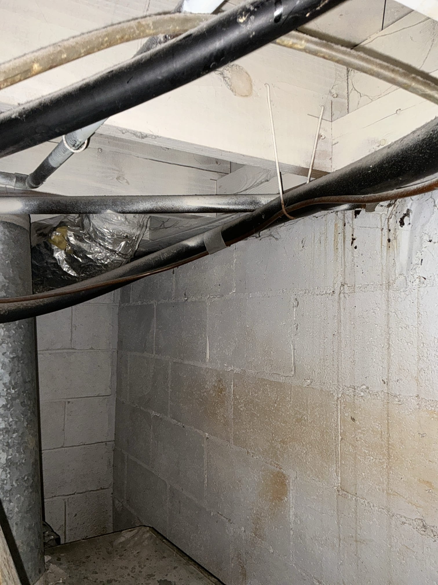 Left estimate to run new gas line to bbq area in back yard with new shut off valves and also an estimate to repair shower drain