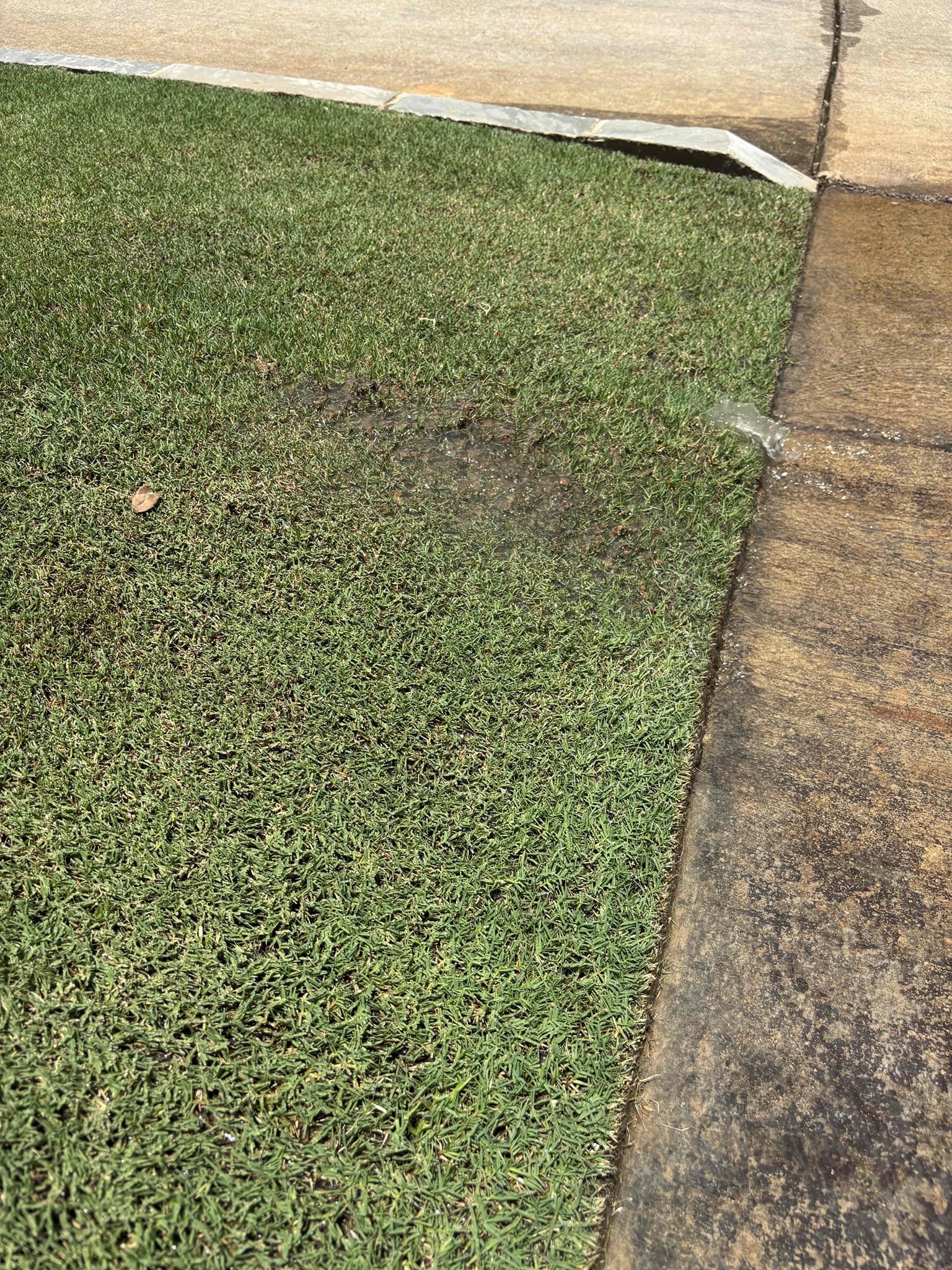 Upon arrival customer has water leaking from front yard and road. Inspected meter and noticed no water movement. County is already out to repair busted main water line.