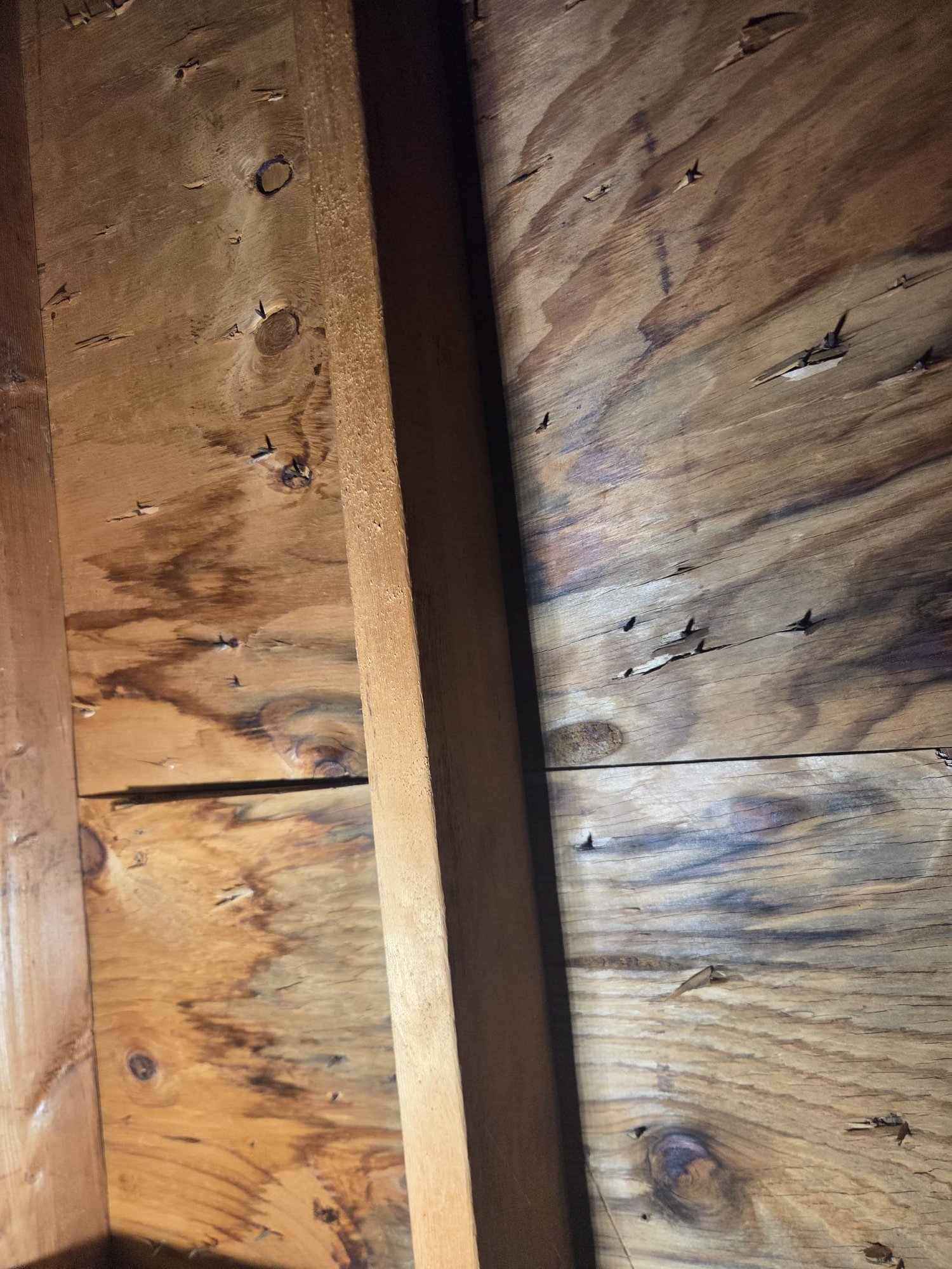 Call for leak in ceiling.

Found leak to be coming from vent in roof serving 3 inch pvc pipe.videos attached for roofing contractor.  We also noticed two other areas of wood that appeared to be damaged by water,  and a poorly insulated hvac line that's dripping on to gas line and floor.

I discussed findings with customers and they advised us that they have roofers already scheduled to come out. 

Notes for roofer roofer: went up ladder and behind hvac unit.  3 inch pvc line leaks from vertical span. Above water heater is damaged wood. Also above pvc line has a small damaged spot.


Notes regarding water quality and filters

https://www.ewg.org/tapwater/

Virginia Tech - Cobb County Pinhole Leak Report 3-13-2018-Final.pdf https://share.google/iX11T6C30JC2C9LEA