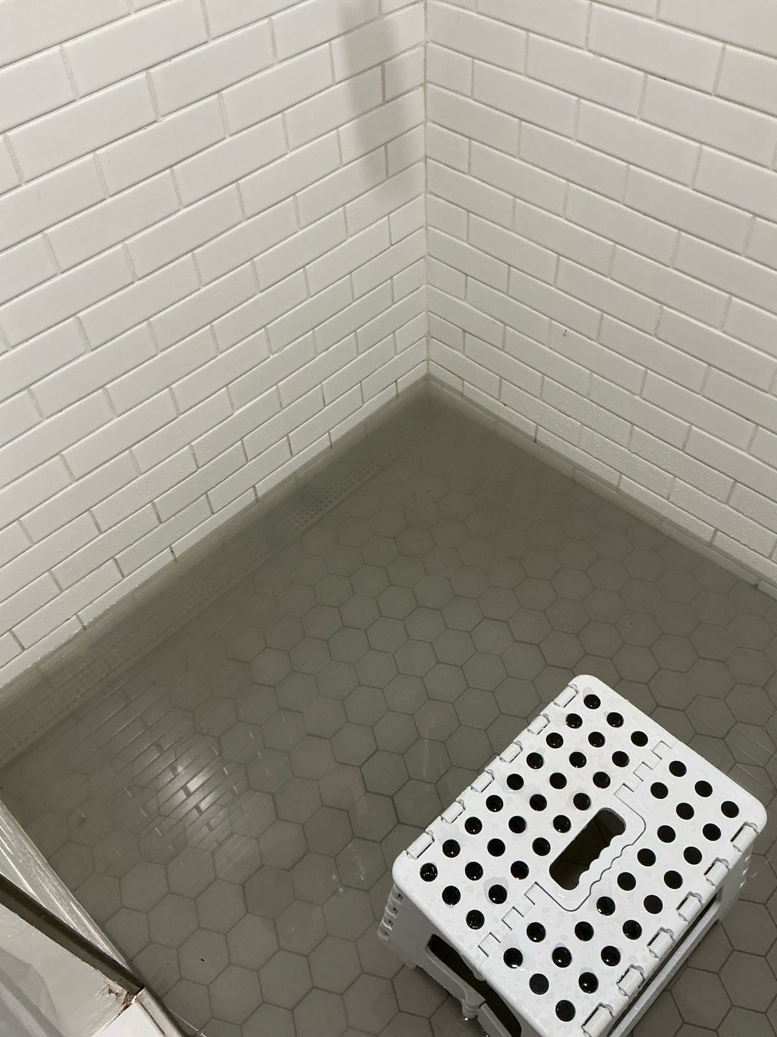 Found basement drains backed up with shower holding water. Snaked drain from outside clean out toward house. Pulled back strings from drain. Ran washer,shower,lavatory and flushed toilet to test. Left everything in good working order.