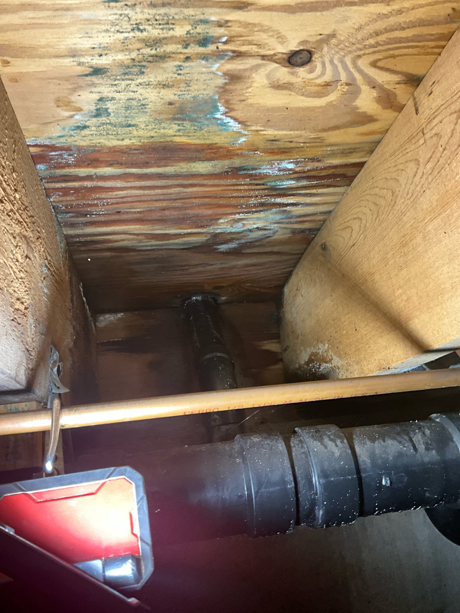 Call for leak under kitchen sink.

Arrived and met with Ms. Diana. She states that she found a leak under her sink.

Inspection findings: kitchen sink is not draining well, and looking under the crawlspace I found that there is a leak inside the wall too. It is actively dripping down the pipe, and evidence of water damage to subfloor.

I discussed findings with Ms. Diana. She would like to contact her home insurance provider to discuss making a claim before proceeding with any repairs.