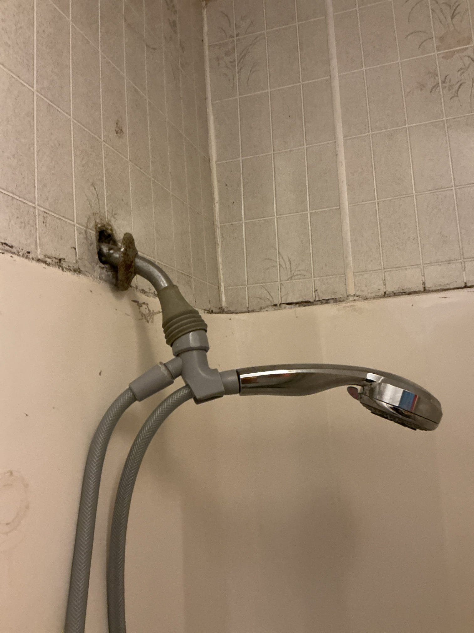 Diagnosed leak in shower. Found shower arm broken in wall. Left estimate to cut wall and replace section of line and install new shower head and arm, also left estimate to replace kitchen faucet and to replace pressure regulator 