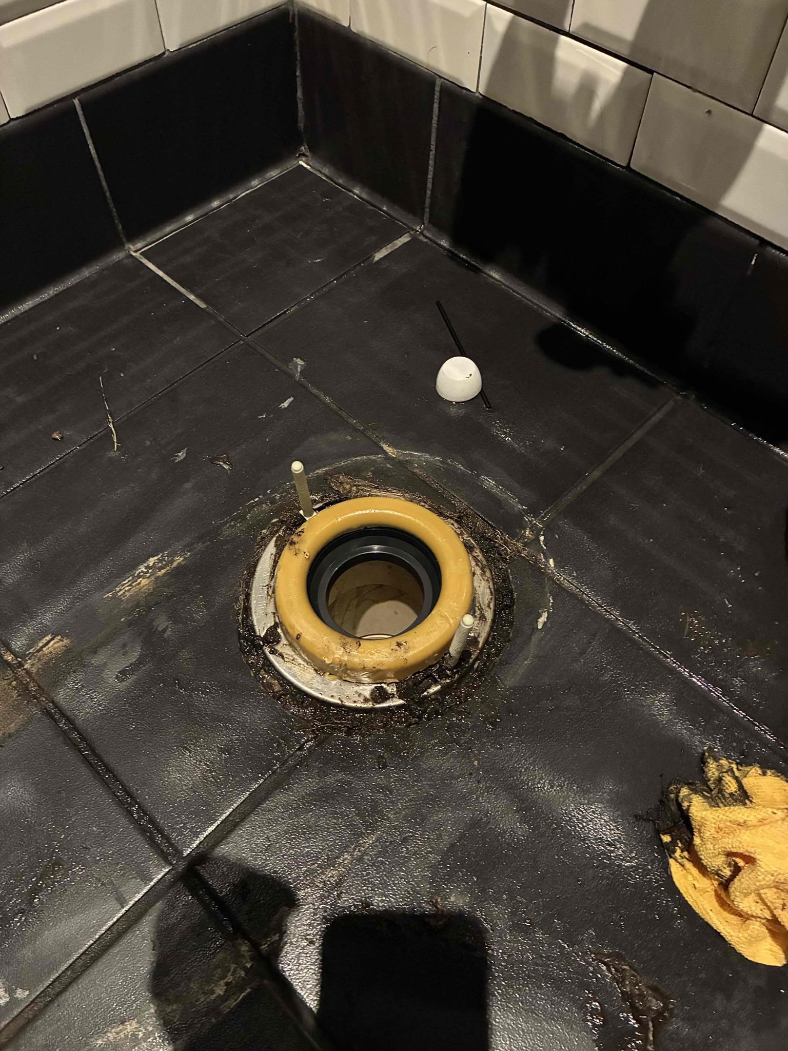 Found toilet in men’s Ada stall and regular women’s restroom stall toilet with broken T bolts. Pulled toilet in men’s restroom Ada stall found roots growing around toilet flange. Removed roots and cleaned area. Set toilet with new wax seal and T bolts. Pulled women’s restroom regular stall toilet found no issues with toilet flange. Set toilet with new wax seal and T bolts. Flushed both toilets several times to test left in good working order.