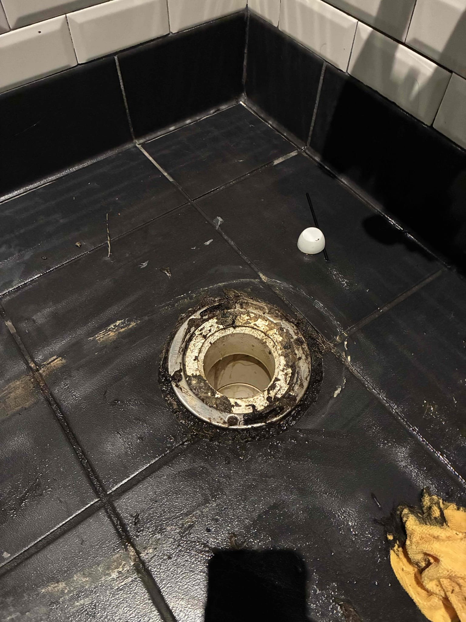 Found toilet in men’s Ada stall and regular women’s restroom stall toilet with broken T bolts. Pulled toilet in men’s restroom Ada stall found roots growing around toilet flange. Removed roots and cleaned area. Set toilet with new wax seal and T bolts. Pulled women’s restroom regular stall toilet found no issues with toilet flange. Set toilet with new wax seal and T bolts. Flushed both toilets several times to test left in good working order.