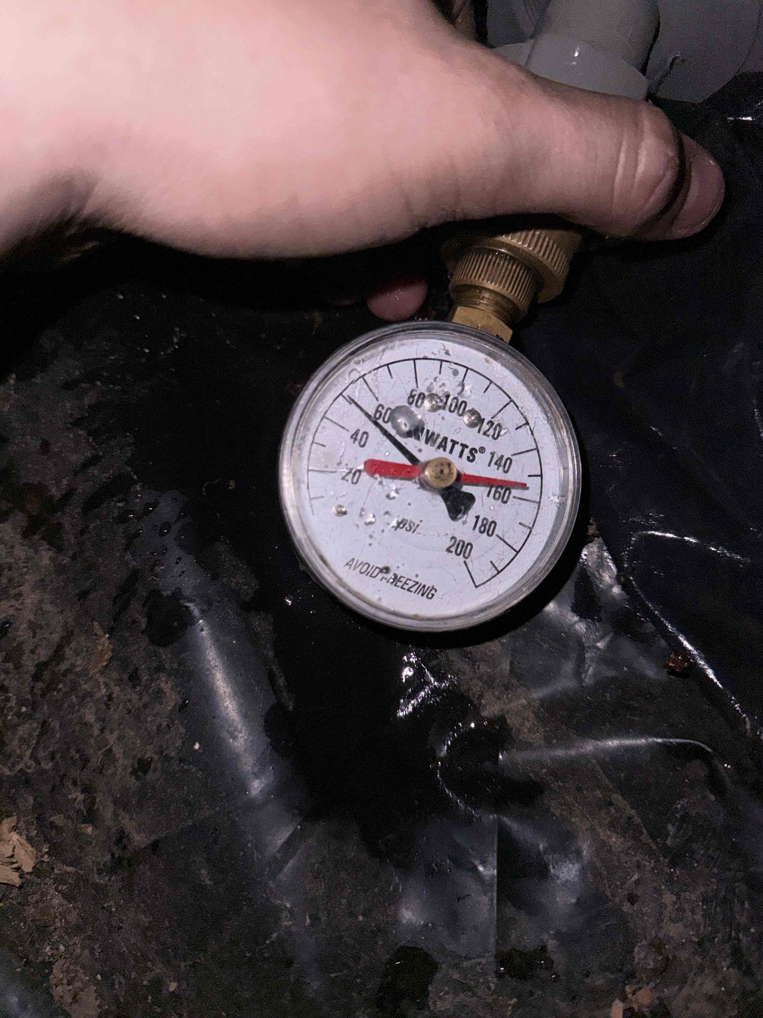 Customer suspecting sewer rats are back based on the pest control guy finding one in the crawlspace. After crawling around crawlspace did not find any leaks on water lines or sewer lines showing no sign of rats. Informed customer to have the pest control guy back out due to something digging tunnels in the crawlspace. Customer is going to have him back out to look in the crawlspace. No issues upon departure 