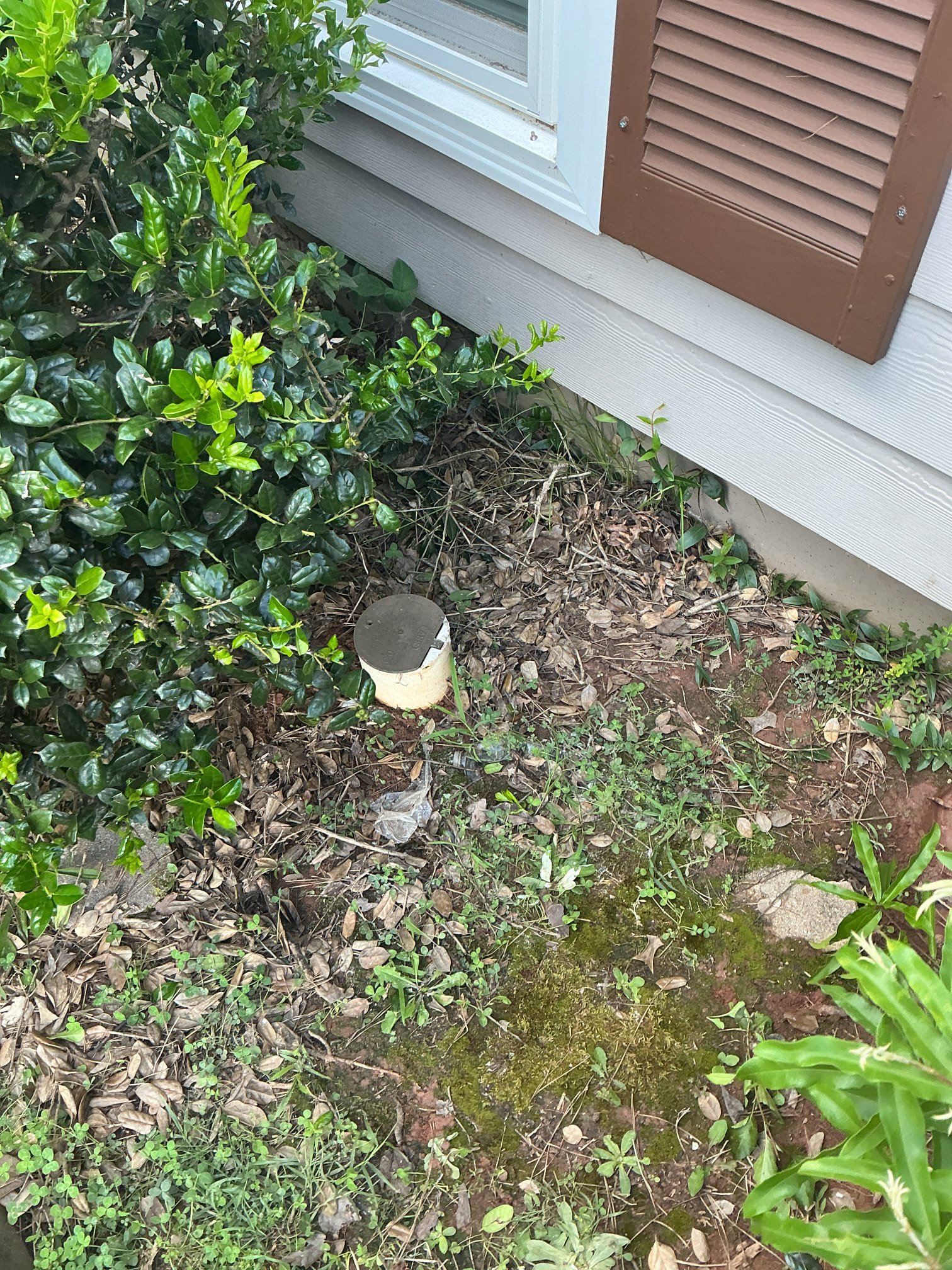 Customer had sewer line stoppage. Ran machine pulled back roots. Ran camera to determine break in pipe allowing large amounts of root entering line a beginning of elevation drop. Gave customer option for spot repair. Customer did not agree with pricing and wanted to only pay for the beginning work. Informed customer line is not blocked at the moment but large roots are still within line. 