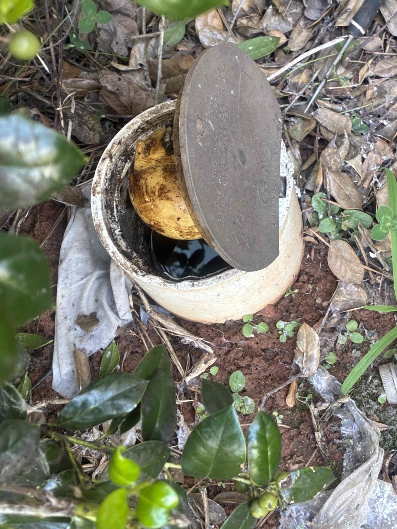 Customer had sewer line stoppage. Ran machine pulled back roots. Ran camera to determine break in pipe allowing large amounts of root entering line a beginning of elevation drop. Gave customer option for spot repair. Customer did not agree with pricing and wanted to only pay for the beginning work. Informed customer line is not blocked at the moment but large roots are still within line. 