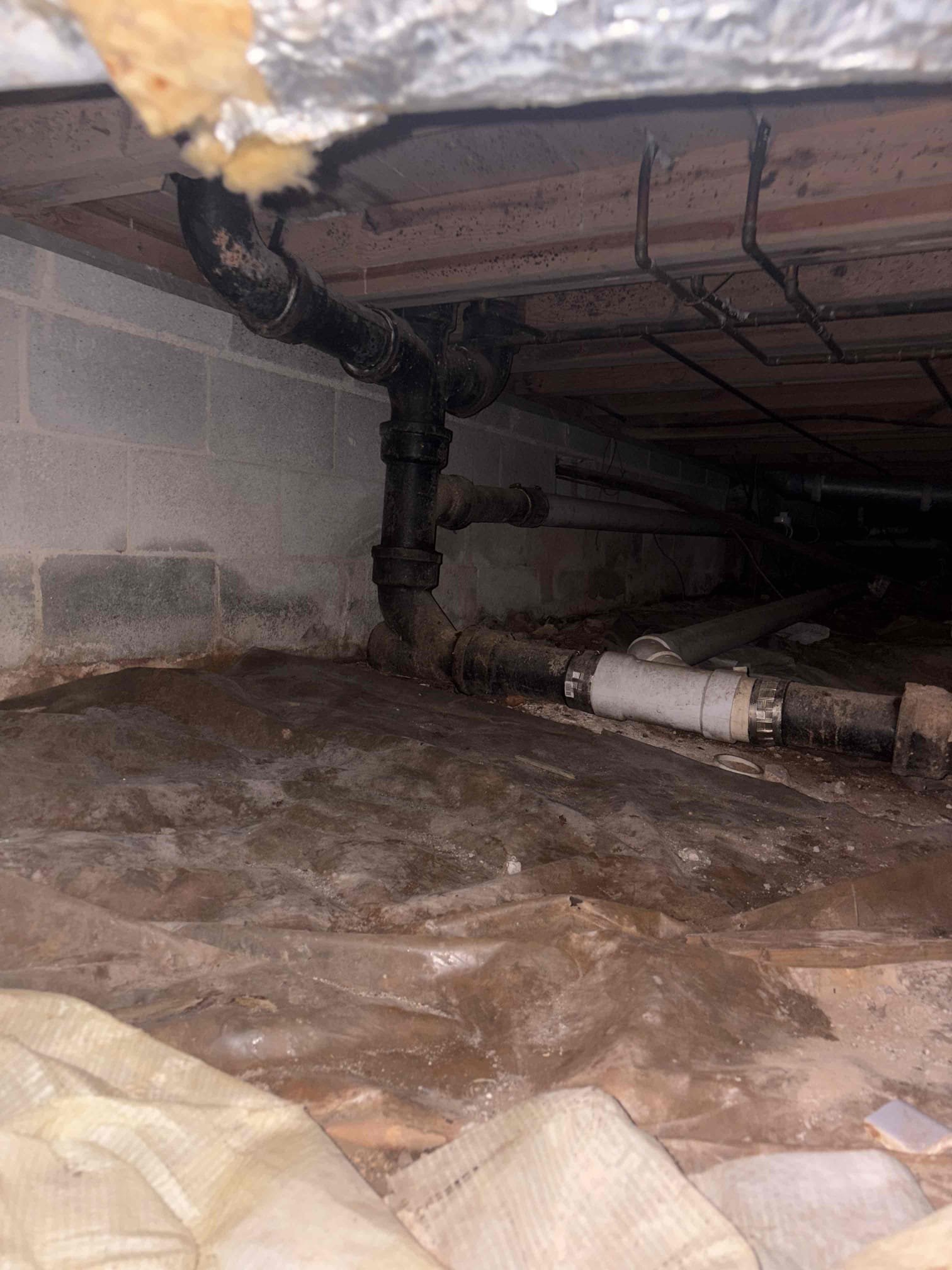 Diagnosed sewer smell coming from back bathroom of home. Did not really smell anything upon arrival but after running shower for few minutes could definitely smell a sewer odor. Checked in crawlspace and did not find any breaks or leaks in drain lines. Also in bathroom did not find any immediate causes of smell. Recommend doing a smoke test as next step. With smoke test introduce smoke into drain line to pin point and breaks causing smell