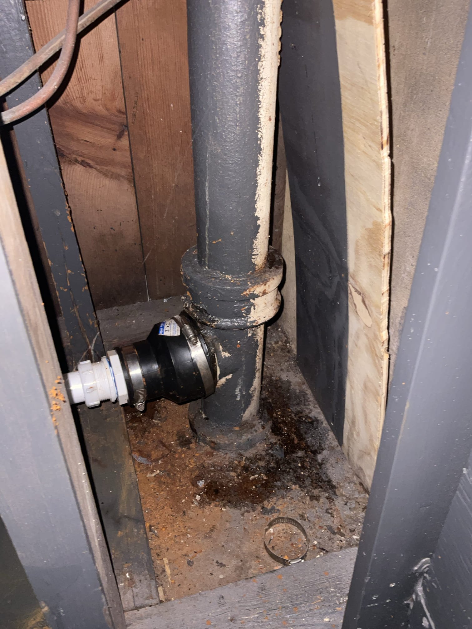 Did whole home plumbing inspection, quoted few items repair found with inspection, recommend customer for camera / scope inspection check condition of the line outside . 