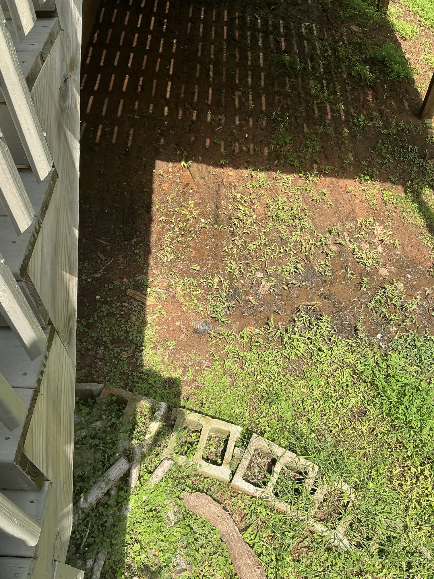 Diagnosed leak in basement. Seems to be related to drain. Ran camera to confirm. Currently drains for left side of home can’t be located where they go out of home. Plumbing on right side of home is draining to backyard open pipe. Recommend calling septic company to locate tank and entry point. Once tank is located customer can have us back out to figure out a way to tie in all plumbing properly to septic tank and have no more leaks or open drain lines in backyard 