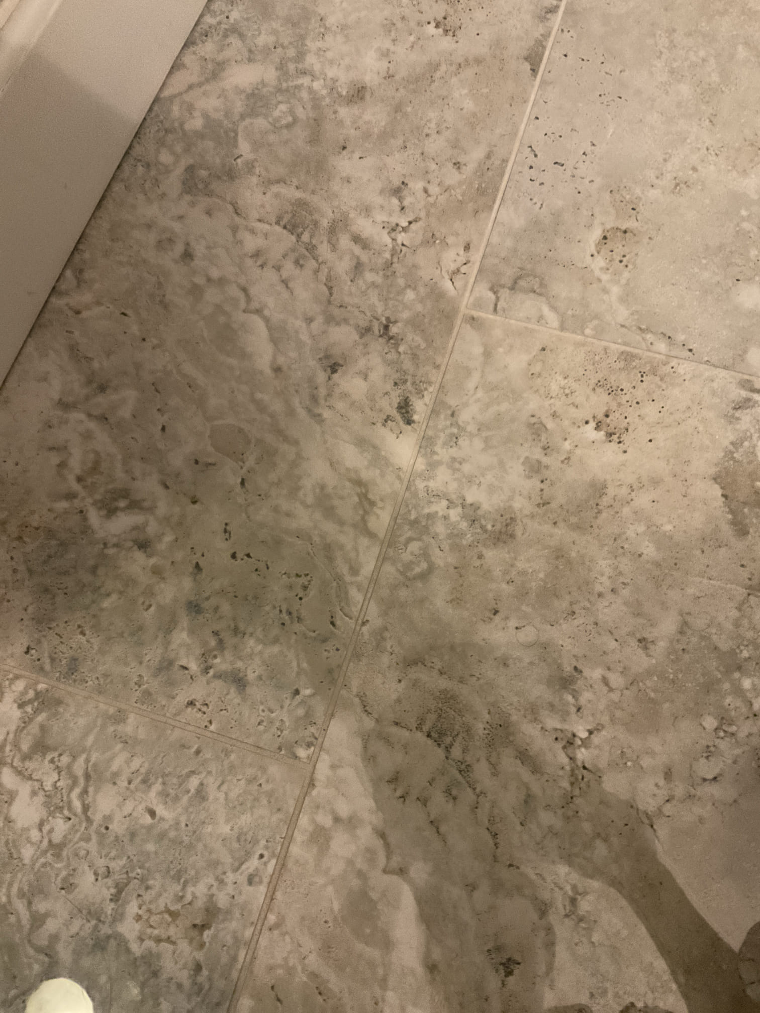 Both bathrooms were backing up upon arrival, both tub holding sewerage , we remove a toilet upstairs, snaked cleared blockage , after camera inspection we found an area pipe with negative pitch caused paper stuck. Pipe need be replaced for permanent fix . No warranty 