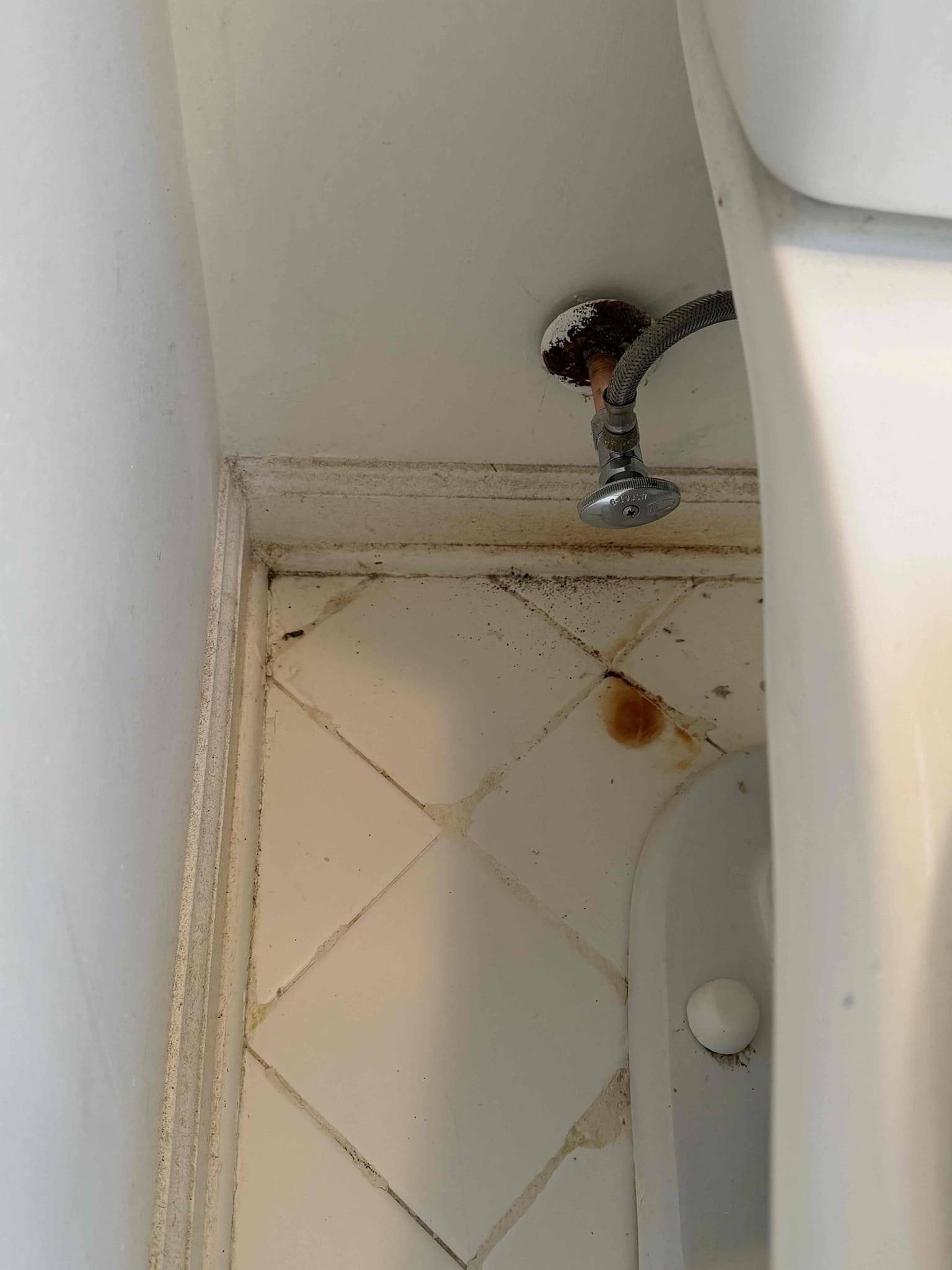 Customer stated that toilets were making noise. Found that hallway bath toilet fill valve constantly running and there was a leak on the tank to bowl. Also found that master bath toilet had a leak on the service valve and also on the tank to bowl. Also, customer mentioned that other toilet house was rocking. Tested water, pressure and water pressure was at 130 psi. Stated to customer in order to warranty any work will have to address pressure issue. At this time, customer just wanted service valves replaced and also other toilet pulled, and reseted. So went ahead and replaced two service valves. Tested and no leaks were present at this time. Pulled and reset toilet. Found that flange was broken so replaced flange. Reset toilet and tested and no leaks were present at this time. Caulked around base of toilet and cleaned up work area. 

There is no warranty on work done today. Also would send estimate estimates for plumbing repairs needed.
