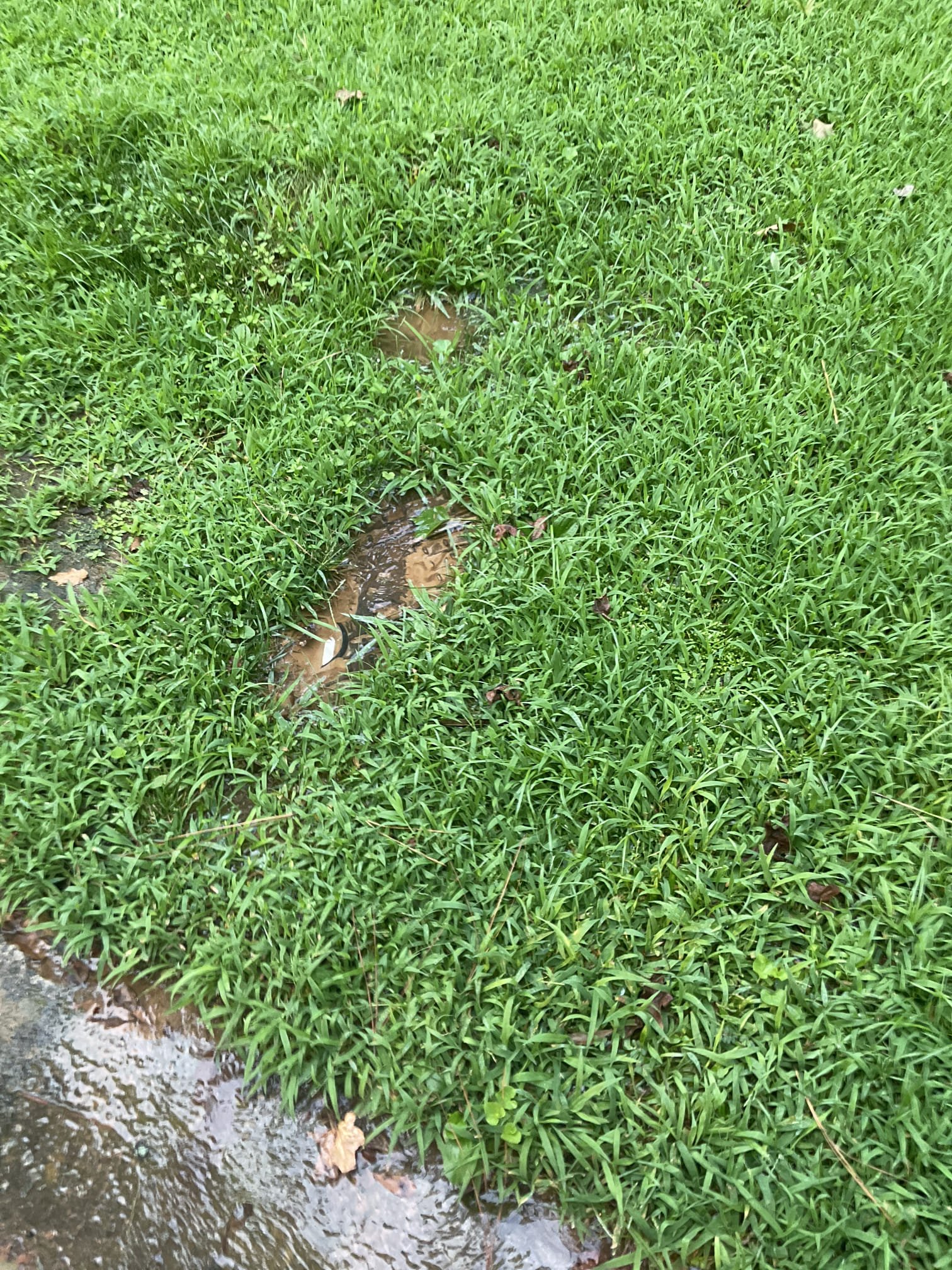 Fixed busted pvc pipe after water meter for the irrigation system in the yard , new pipe and fitting installed 