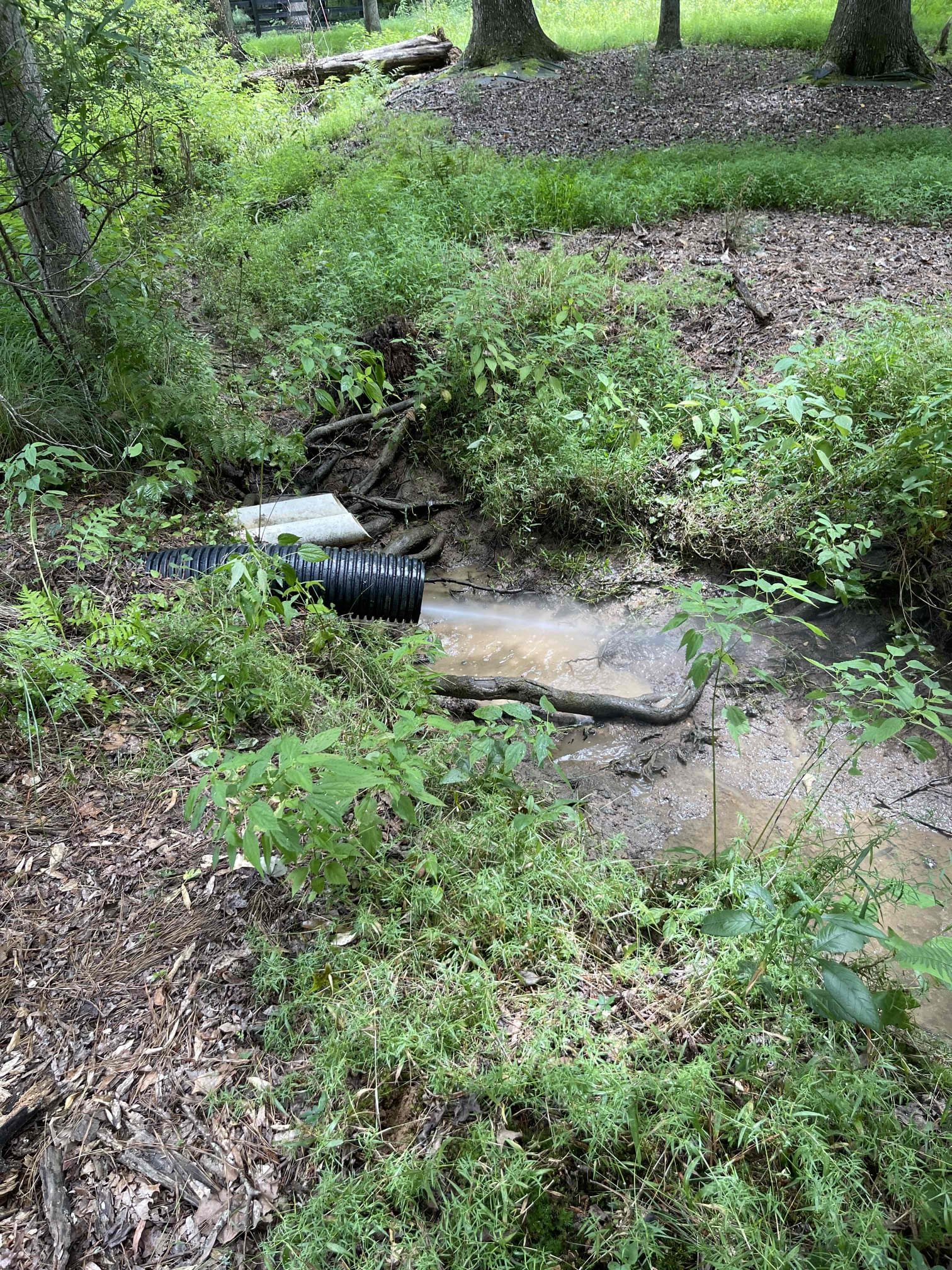 Jetted and camera’d multiples downspouts. Jetted dirt and leaves out of the lines. Located a buried discharge point on one of the lines and extorted proper flow to the drain. No further issue at this time. 