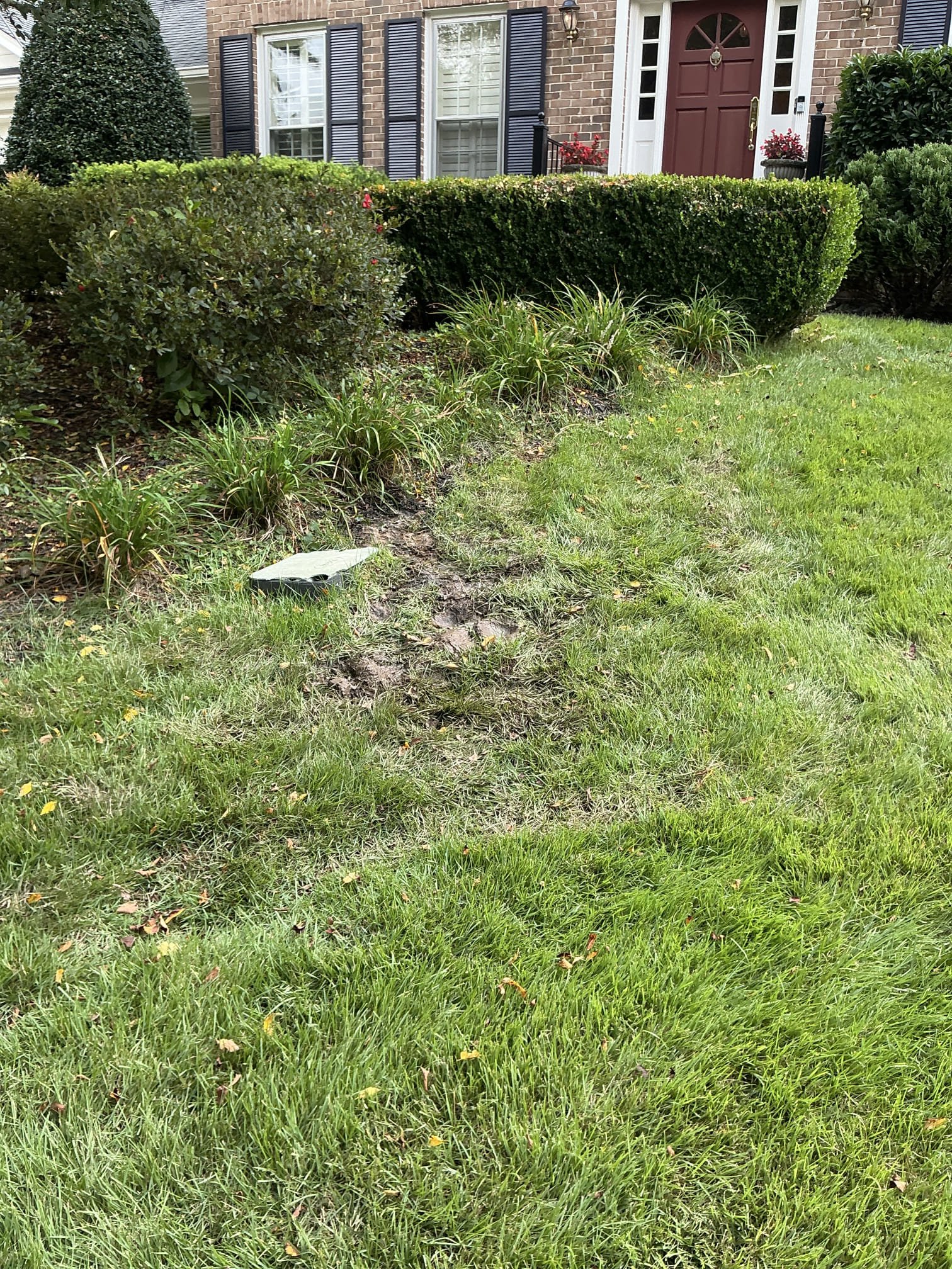 Shut off water to home at meter. Carefully dig up wet area and found zone control leaking at valve. Cut out zone and capped to stop leak. Tested no additional leaks found and no movement in the meter. Cleaned up and set back grass as best as possible 
Shut off water to home and drain system. Locate both front and rear hose Bibb water lines in crawlspace area. Cut out old hose bibs and shut off valves if any. Install new ball valves and new 1/4 hose bibs for more efficient operation. Test both hose bibs for proper operation and clean workspace 