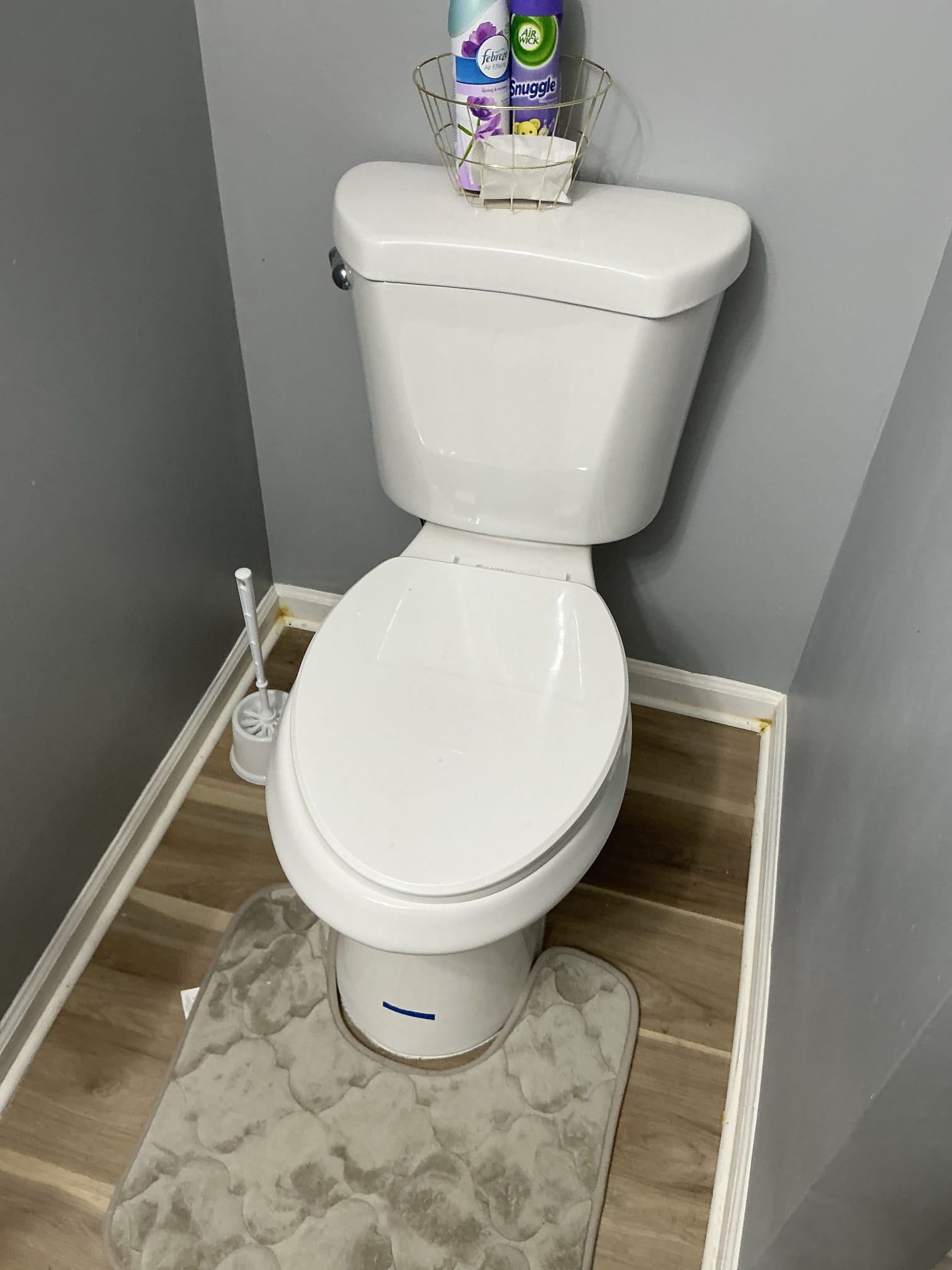 Diagnosed leak in bathroom. Checked lavatory for proper operation. Did not see or notice any leaks and all water and drain lines were dry. Also checked toilet in same bathroom for noise when filling. Toilet is working properly but squealing due to high pressure. Tested pressure in home and pressure is over 120psi also heater is from 2017. Left estimates for replacements of pressure regulator and water heater.