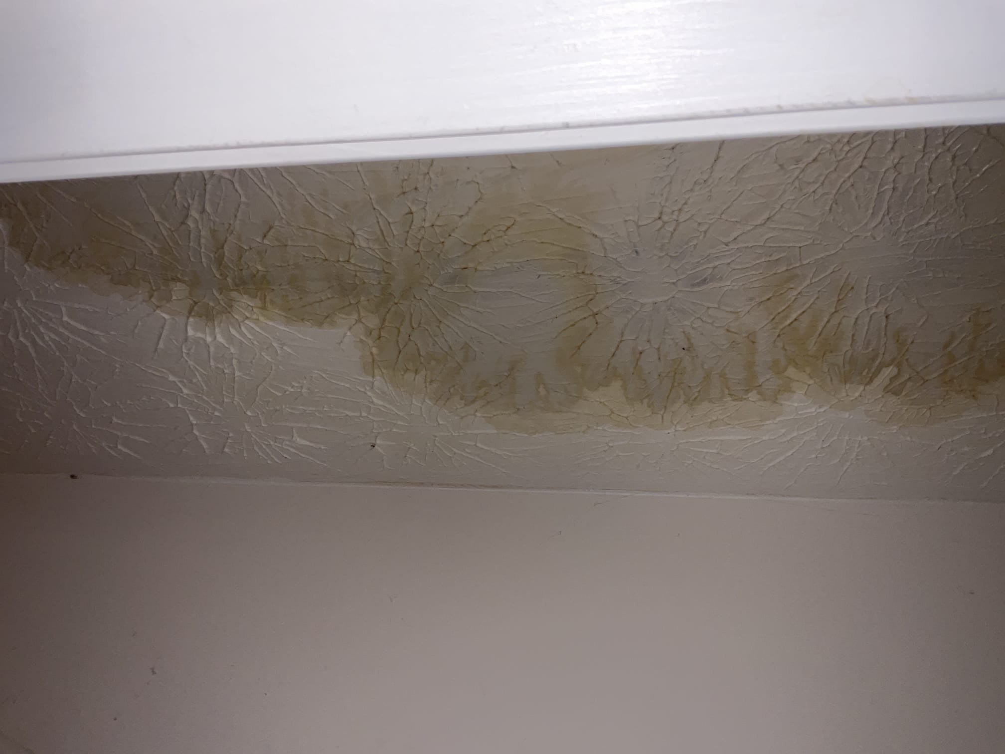 Cut ceiling open fixed a 1/2 “ copper pinhole leak , replaced a section bad pipe with new and used propress copper fittings 