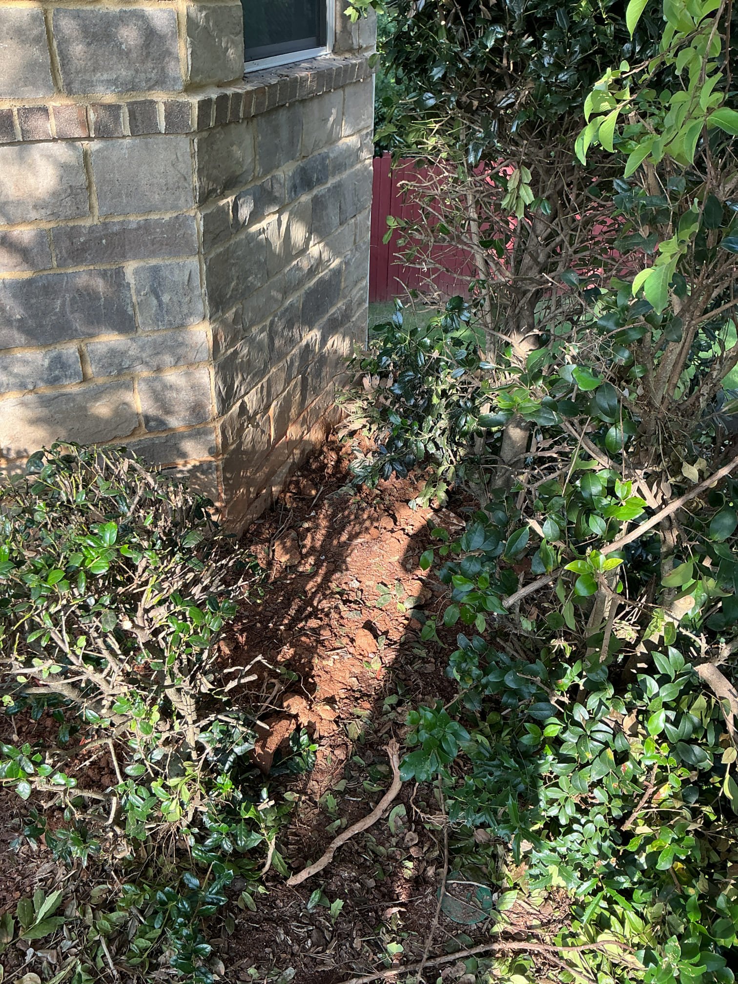 Upon arrival, customer stated leak due to high water bill. Found where water service enters home through foundation and heard loud sound of water running outside wall. Gave customer option for repair of water service after approval dug down and located 1 inch water service leaking where service enters foundation had to cut inside and outside. bring new piece of piping through foundation connected both sides checked meter and found no leaks after turning on water filled back in hole where work was performed. Customer will call and schedule annual member items