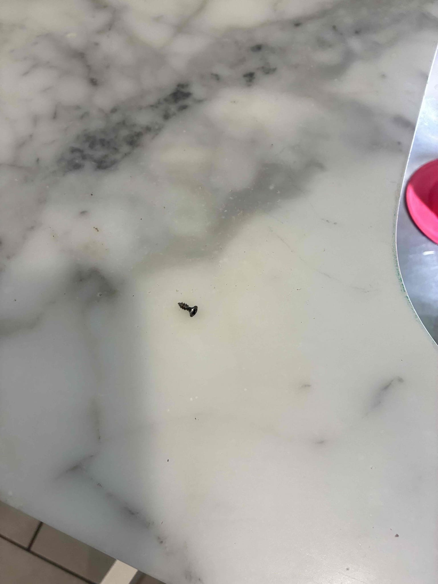 Upon arrival, customer stated noise coming from garbage disposal, determined that small screw was lodged inside side of disposal after Customer had cleaned old toaster. Removed screw and checked for leaks and proper function.