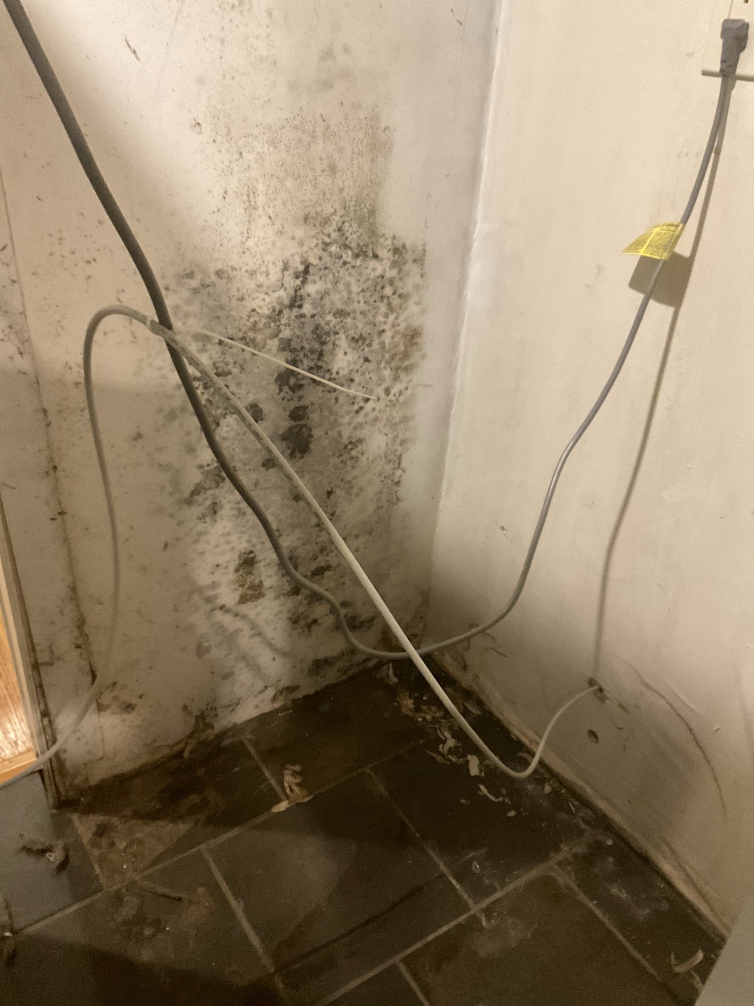 Check out leak under kitchen refrigerator area , found leak from refrigerator itself , Turned water off just for the refrigerator, told customer call appliance repair technician. 