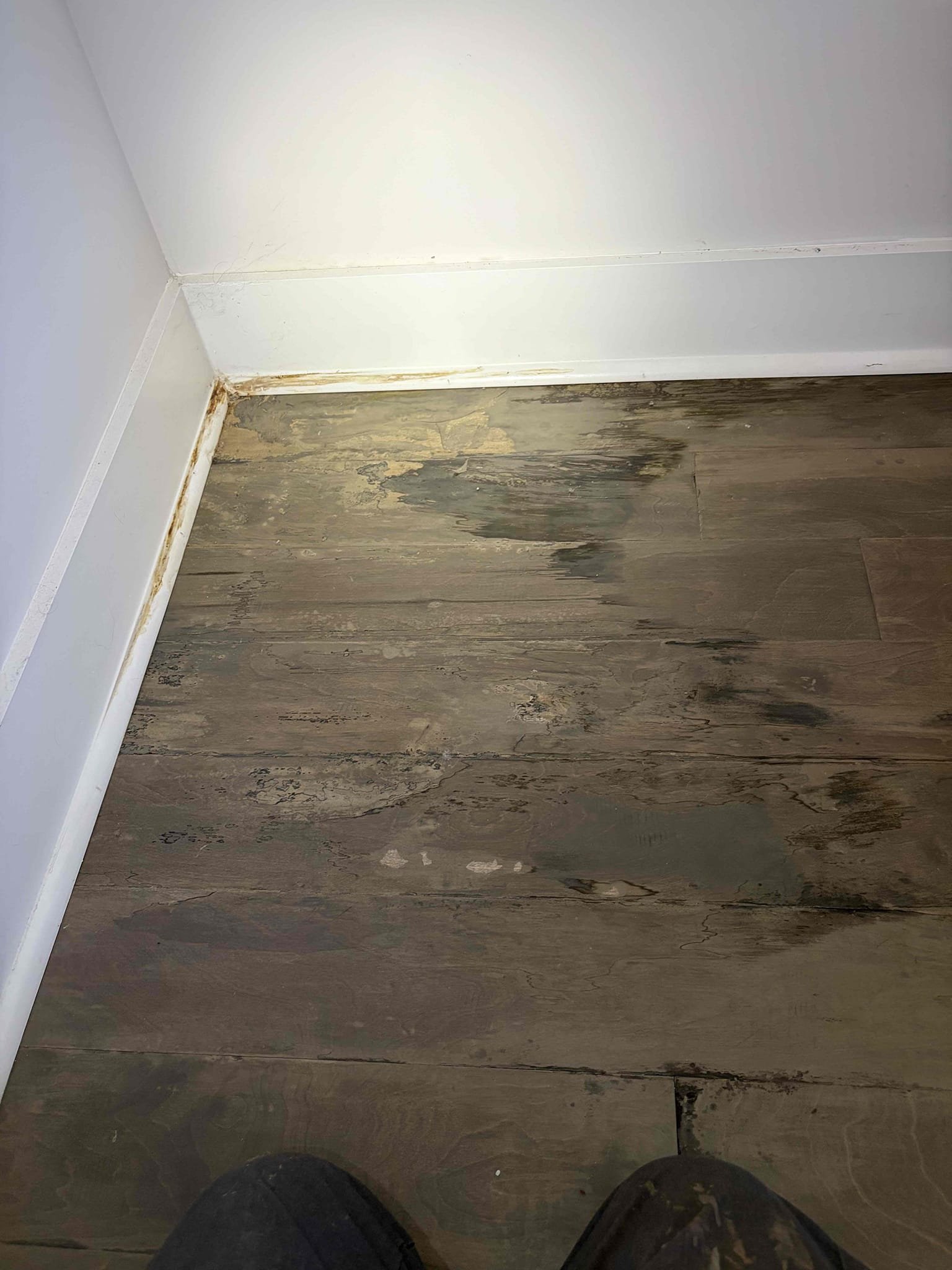 For this job, I came out to diagnose a leak happening in the bedroom. Now there are a couple possibilities of what it could be could be the shower pan the supply lines for the showers however, at this time I recommended our water mitigation partner to take a look at what it could be as well to make sure that we get the proper diagnosis on the issue. At this time we checked the water pressure and the water pressure is reading at 45 psi the water heater is from 2022 from when the house is built and at this time, we will wait on what they say before moving forward with cutting any walls 