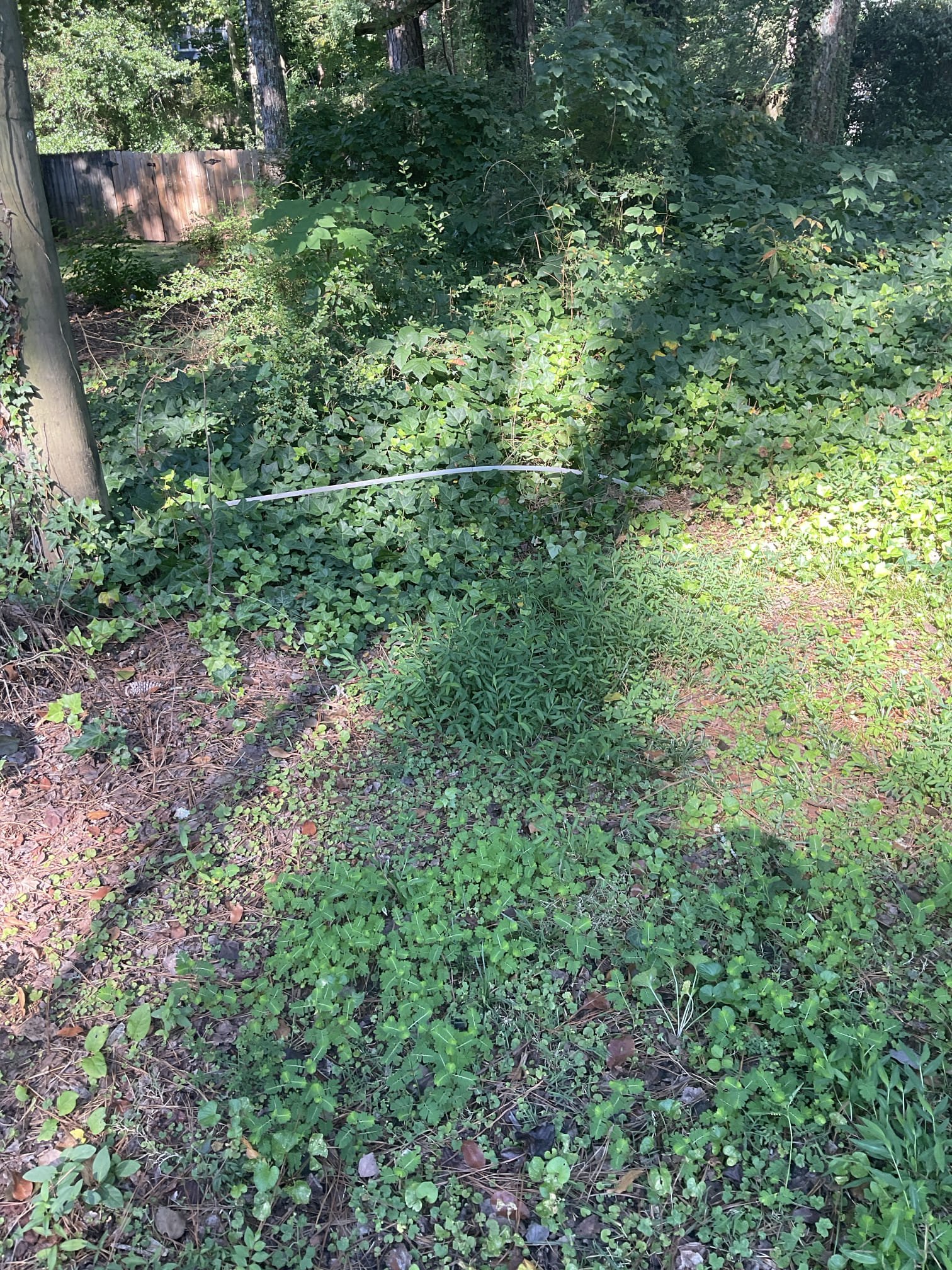Camera inspection in the crawl space clean out to outside and also from clean out in the middle of yard to street , found multiple problems, we discussed with Mr. Bud granger today for repair or replacement 