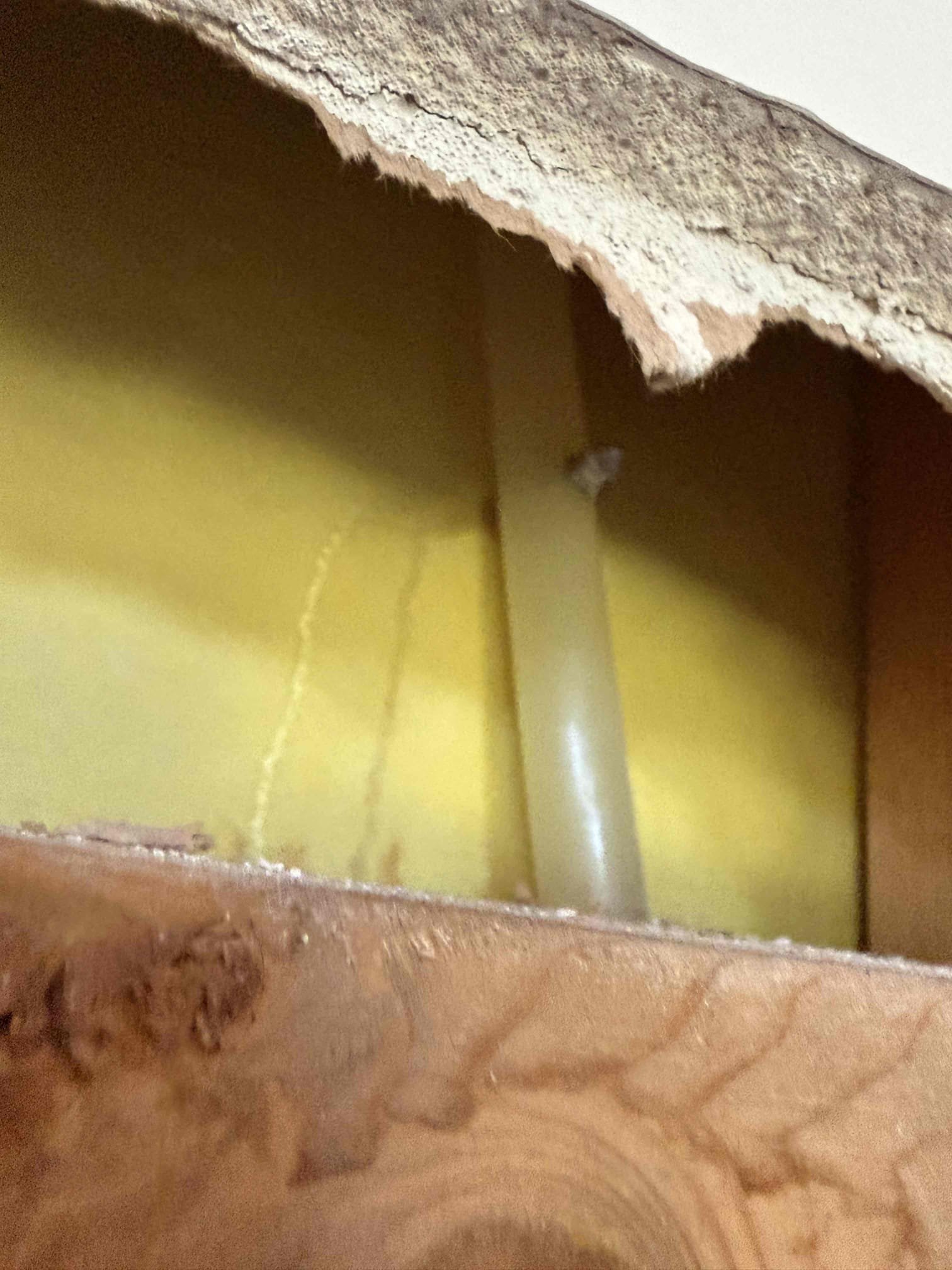 (Plumbers report)
( for this customer we came out to an issue, that there was a pipe burst in the wall causing water damage throughout the home. At this time the line has been fixed, pressure tested the repair and then there are no additional leaks at this time.)

(Additional repairs that were made)
I installed a new Moen Flo device that helps issues like the one here to be prevented. Installed the new device along with a new 3/4 Prv. The main reason for the Prv was for the space. The Prv wasn’t needed to be replaced but in order to install the Moen Flo the additional pipe work modifications were needed and the Prv needed to be swapped out. Once installed no leaks. Wrapped insulation foam around the pipes, used all brass fittings, in addition to that I mounted the control box to the wall. At this time the customer is all set, thank you for using Chen plumbing, and welcome to the win with Chen family,